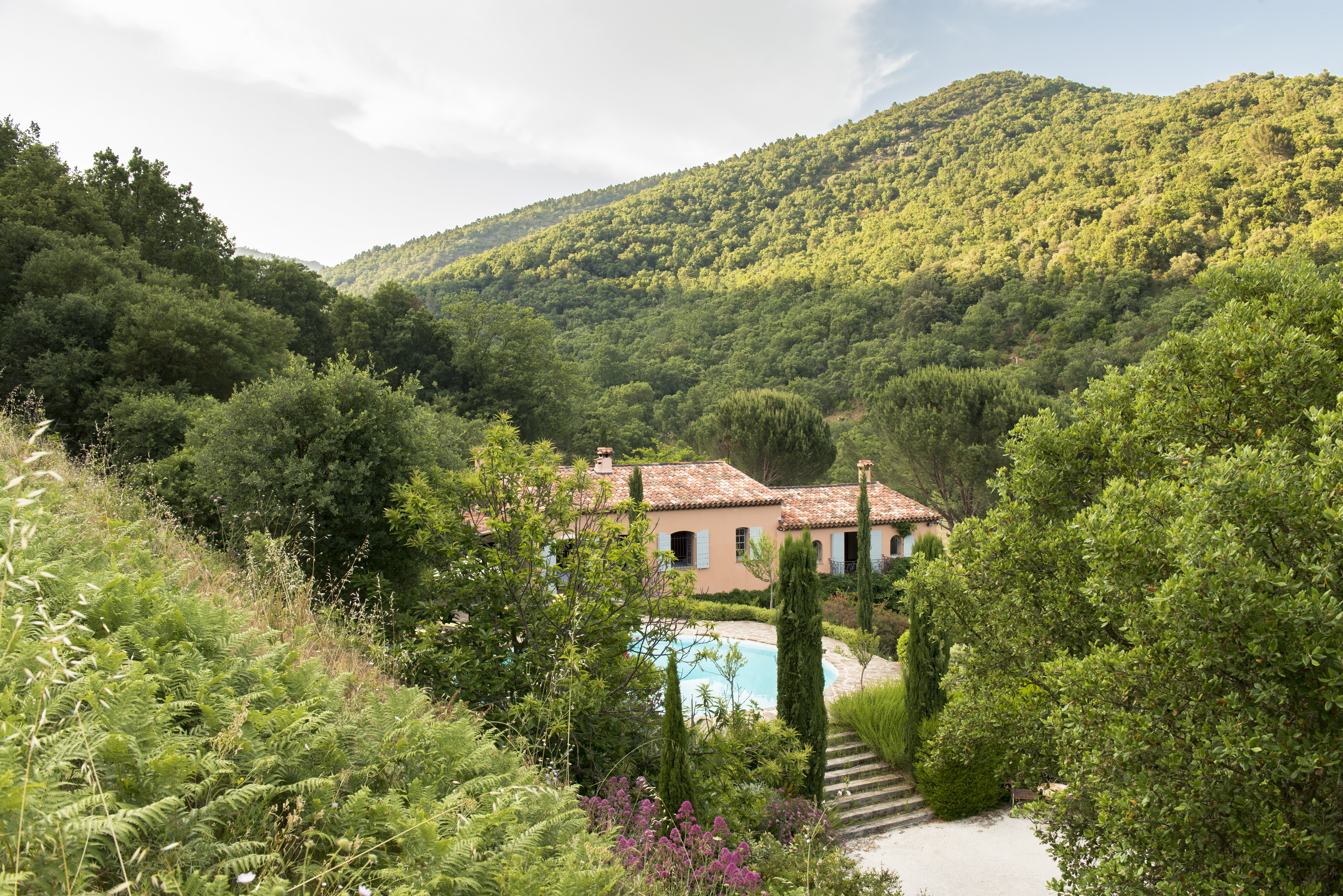 Bergeronnette - Image 3