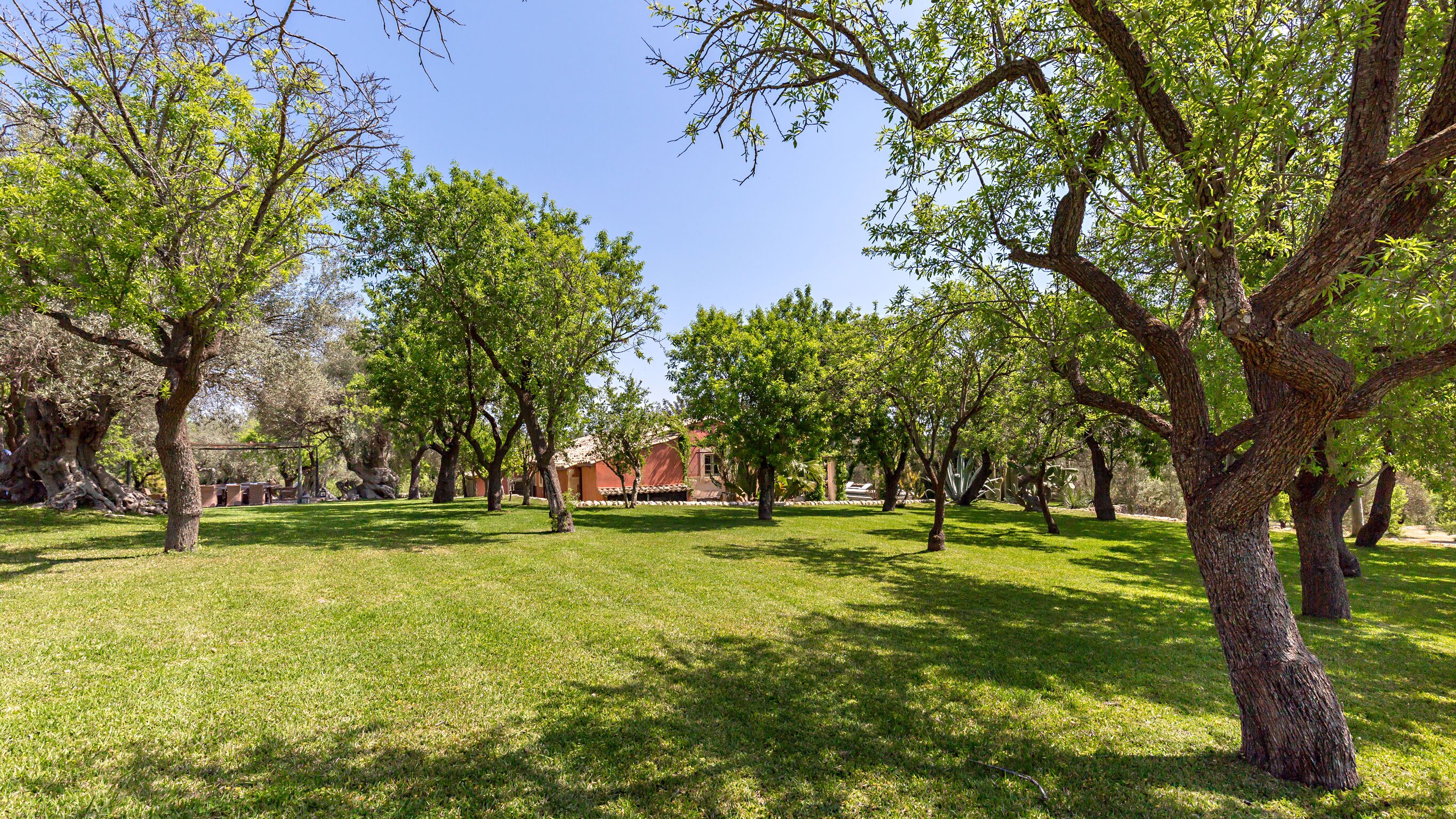 Le Arcate - Image 20