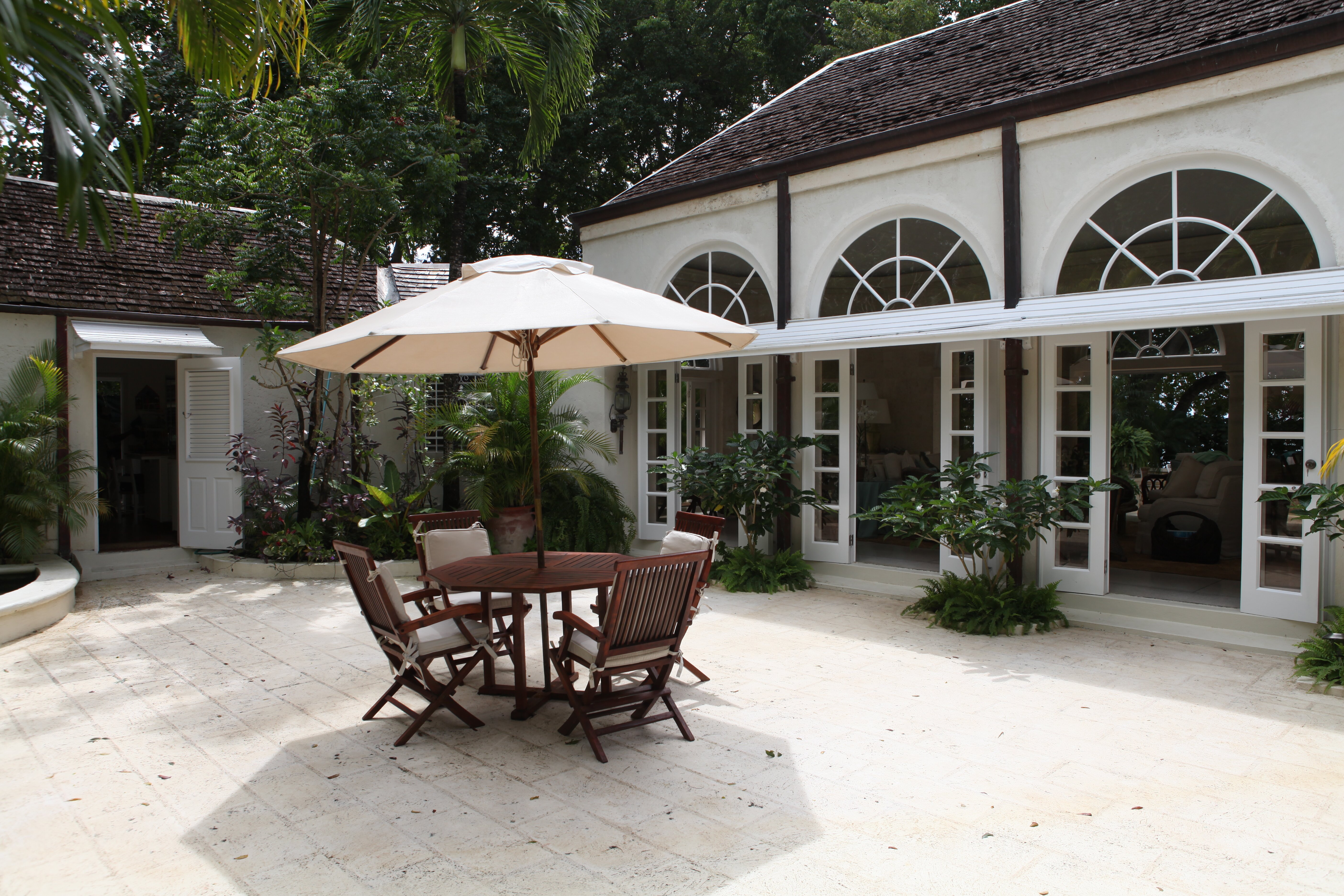 Heronetta - Image 12