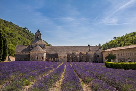 Provence Image