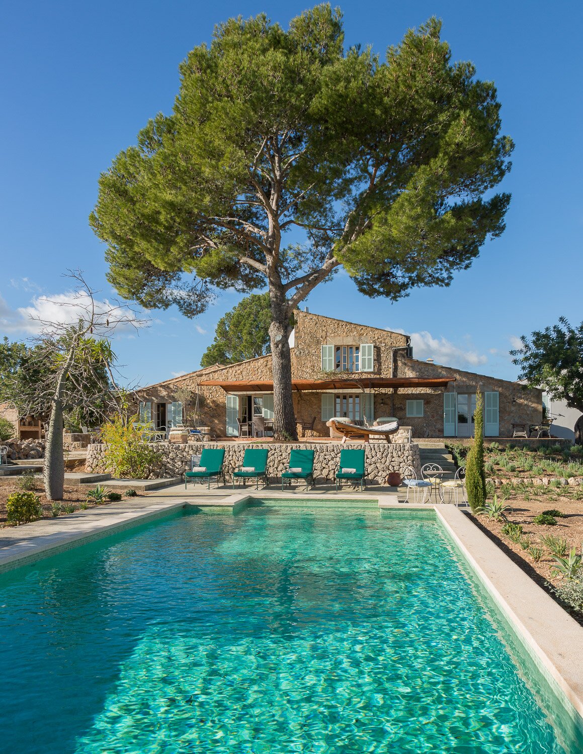 Los Pinos - Image 20