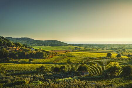 Chianti and South of Siena Image