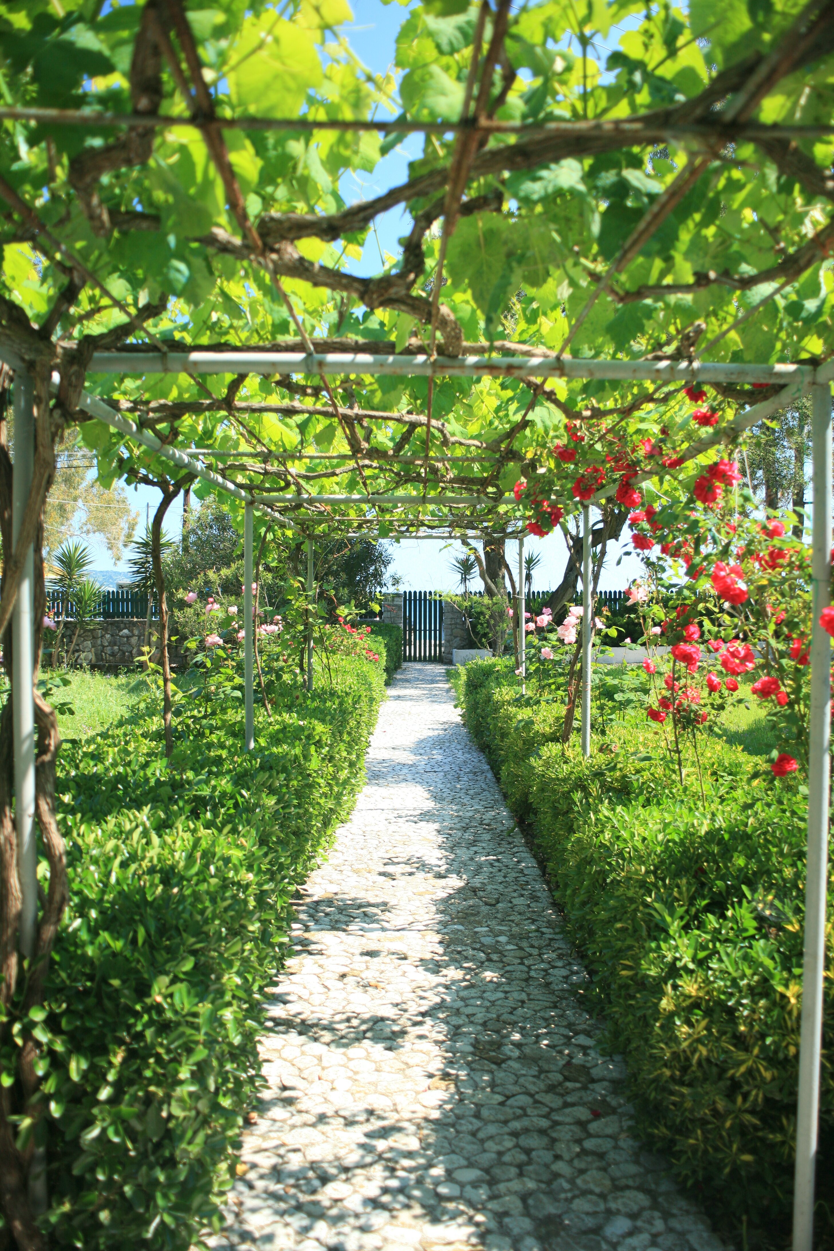 Sophia Upper - Image 3