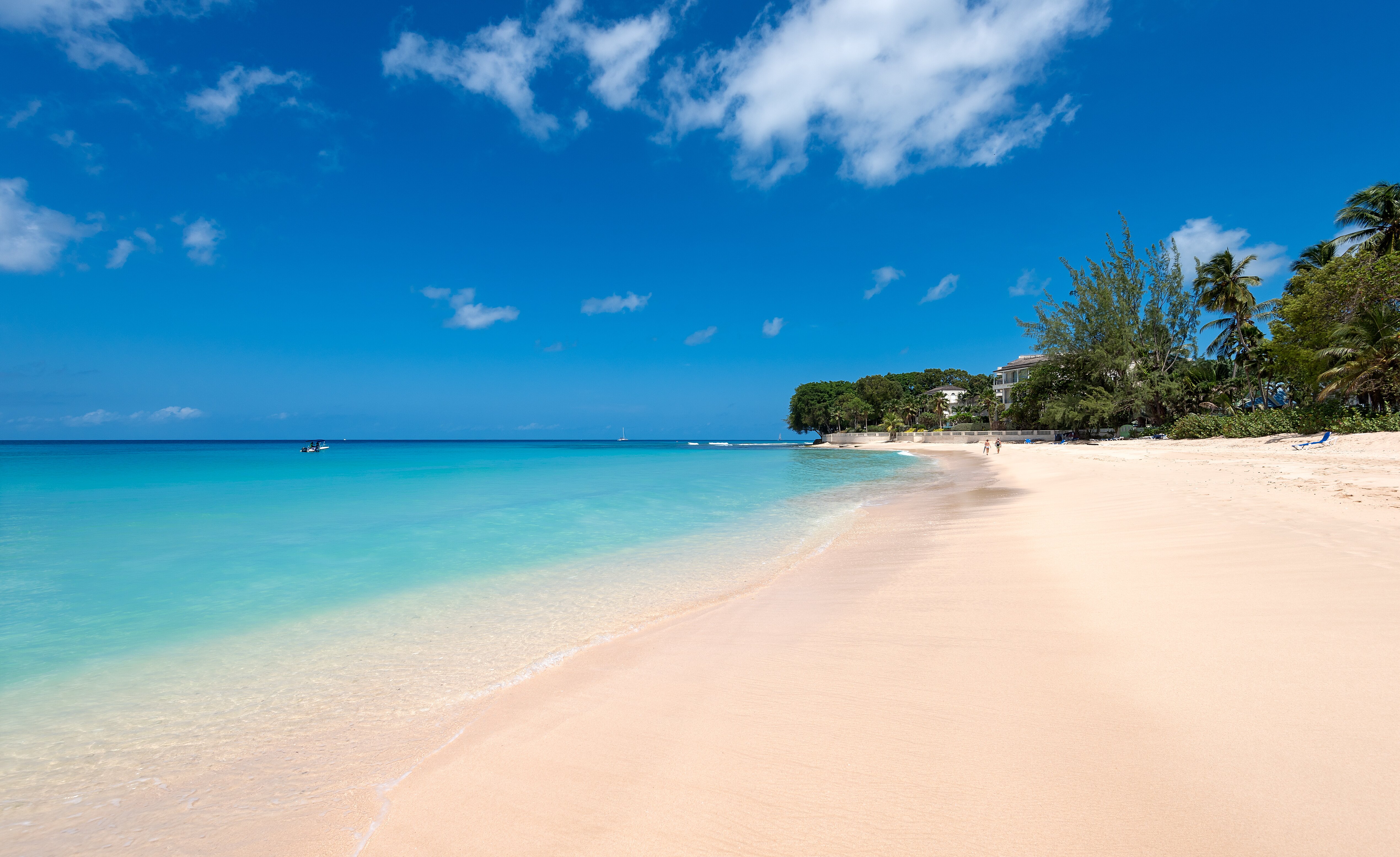 Coral Cove 11 - Image 7