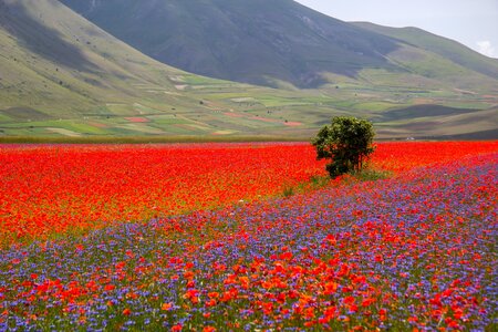 Umbria & Tuscany Border  Image