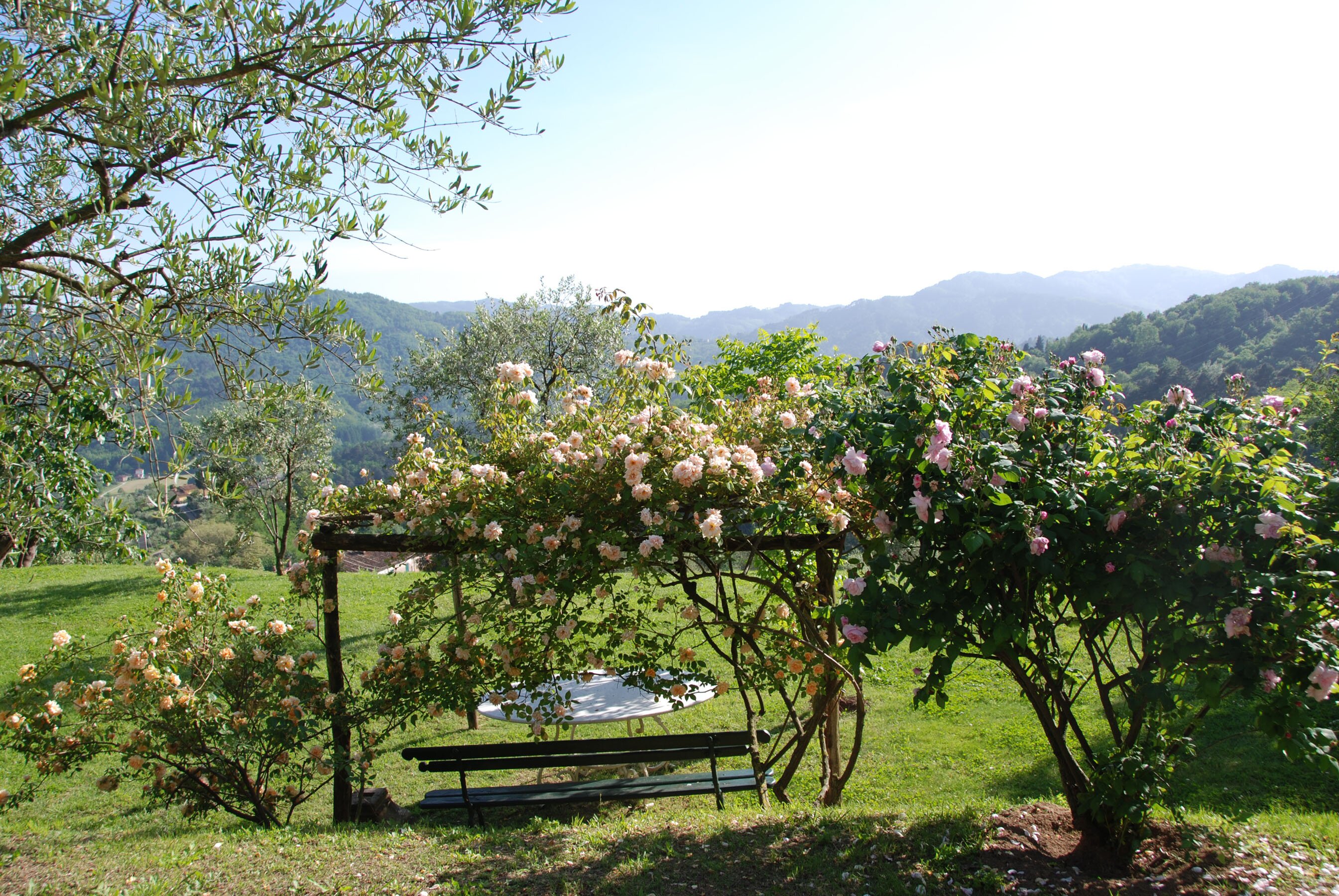 Casa Freddana - Image 17