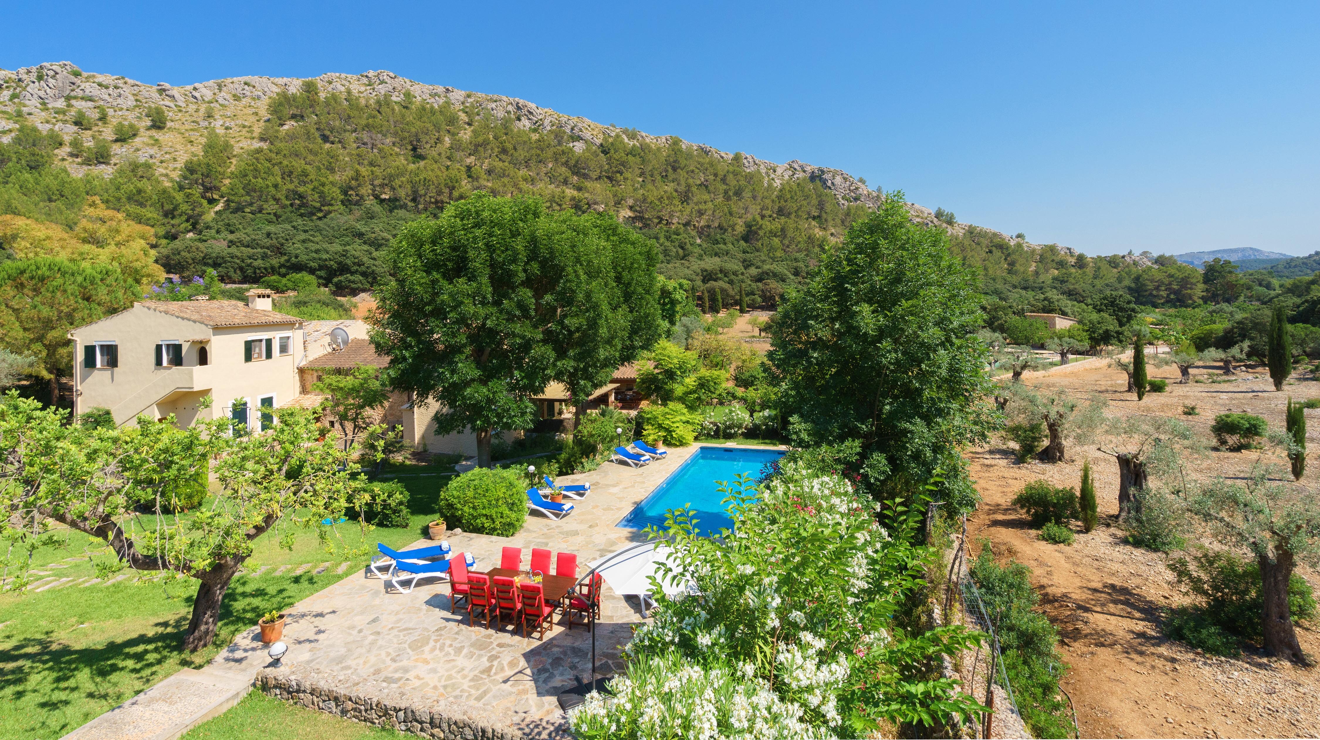 Ca'n Tulipan - Image 13