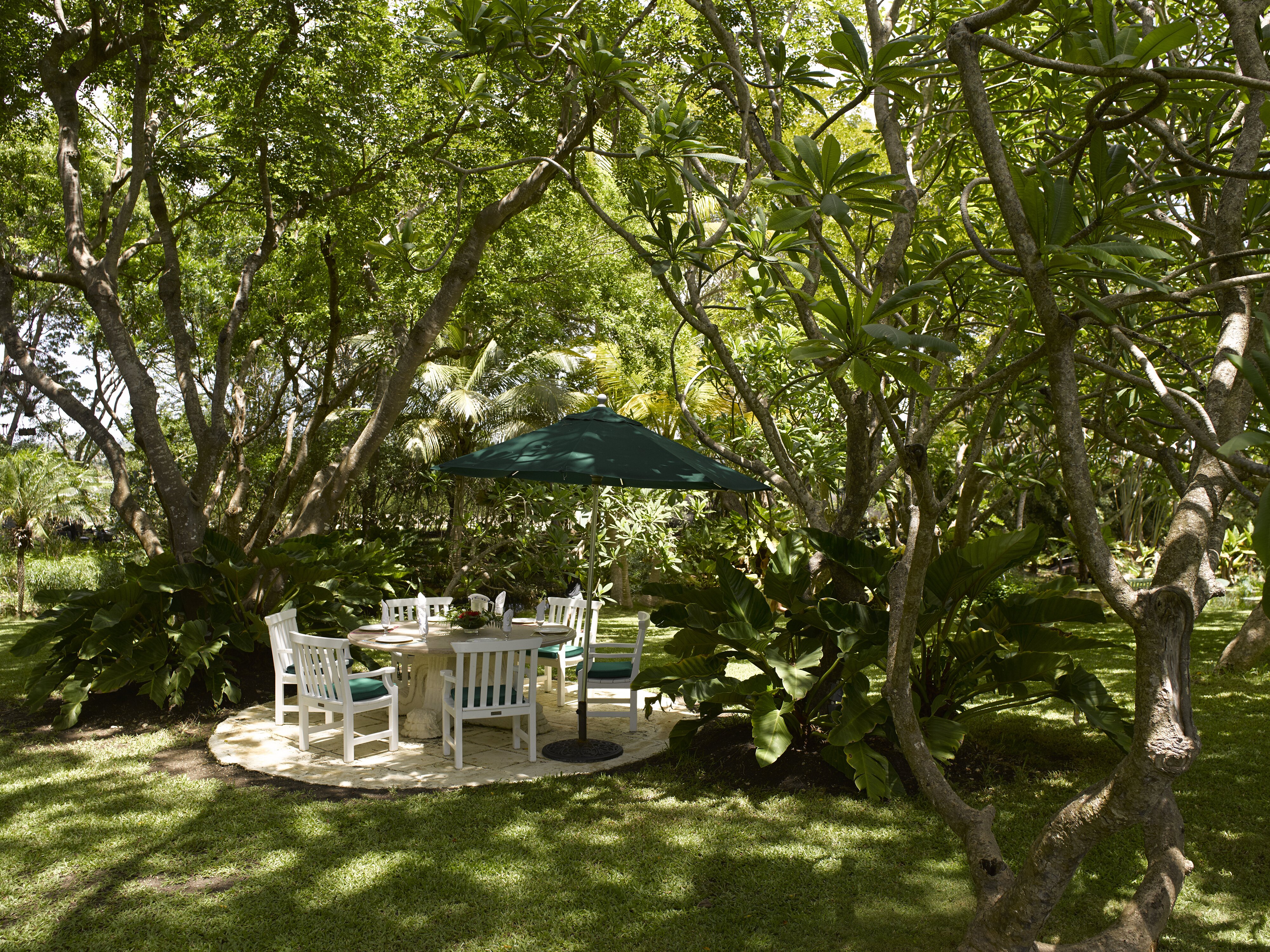 Seating area in extensive lawned, gently undulating gardens