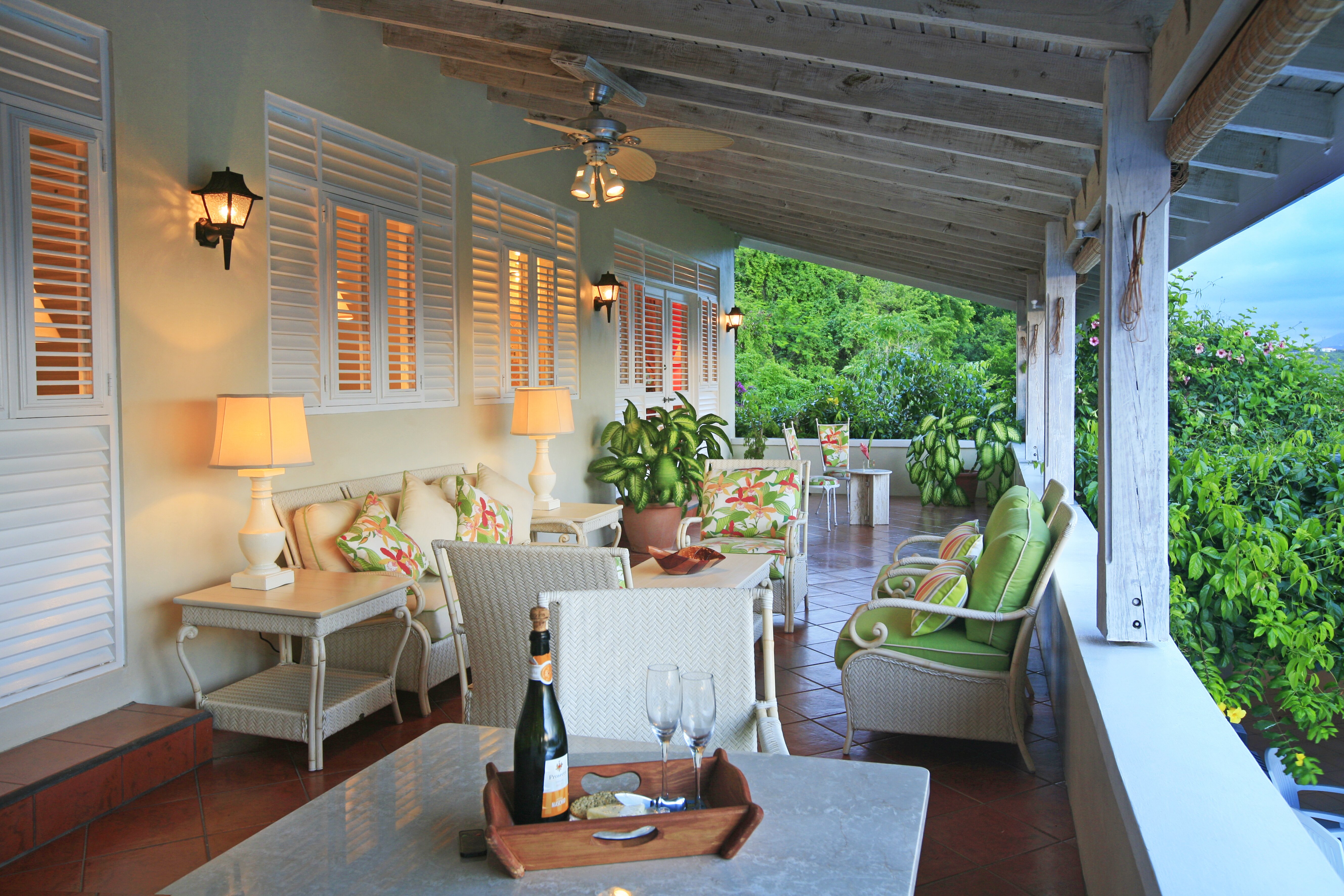 Wild Orchid - Image 3