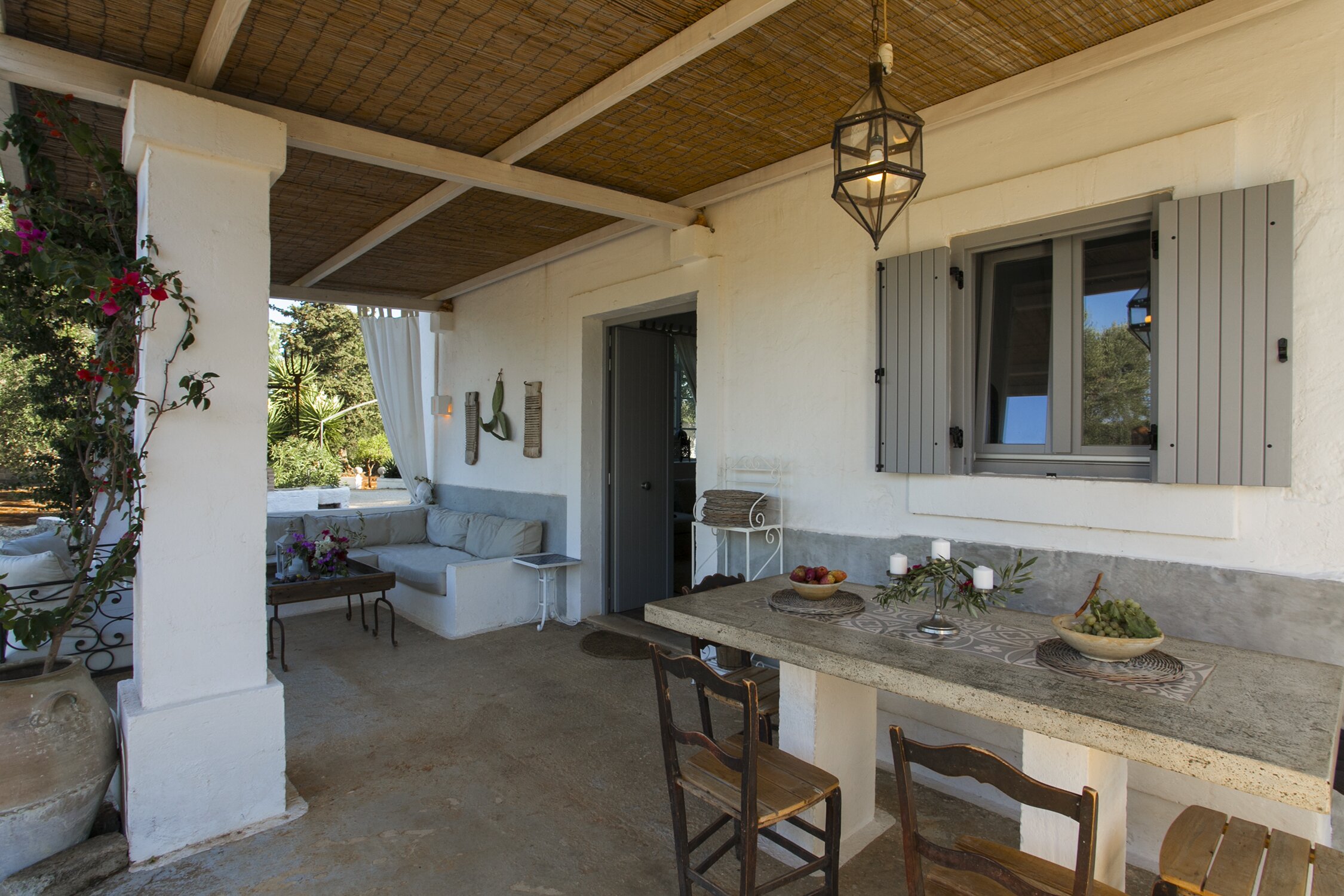 Fico d'India - Image 5