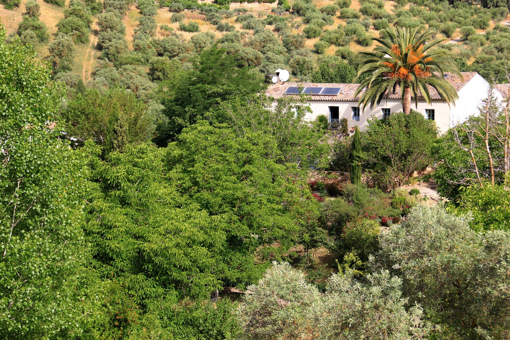 Casa Gabriella - Image 3