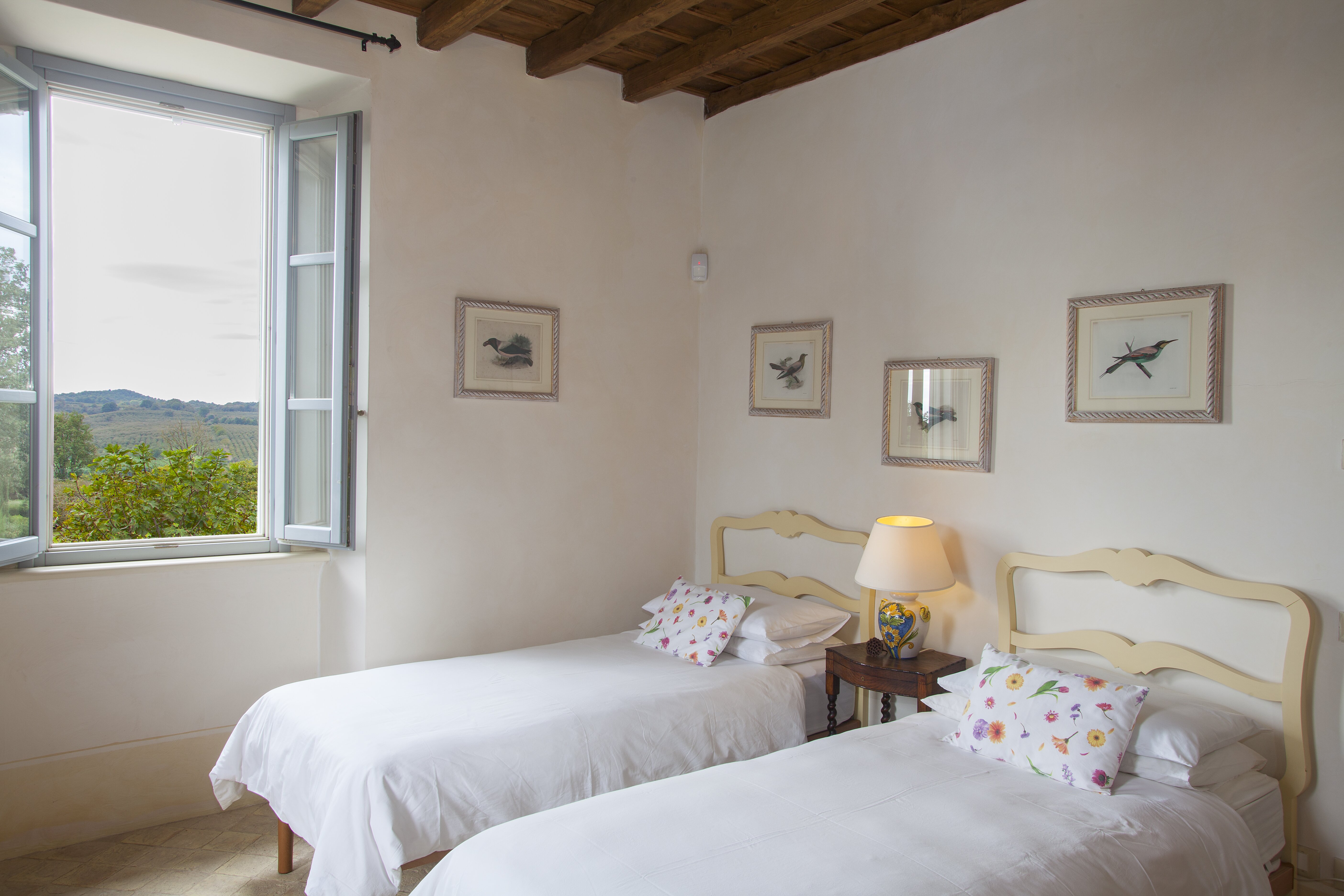 Tenuta della Tuscia - Image 19