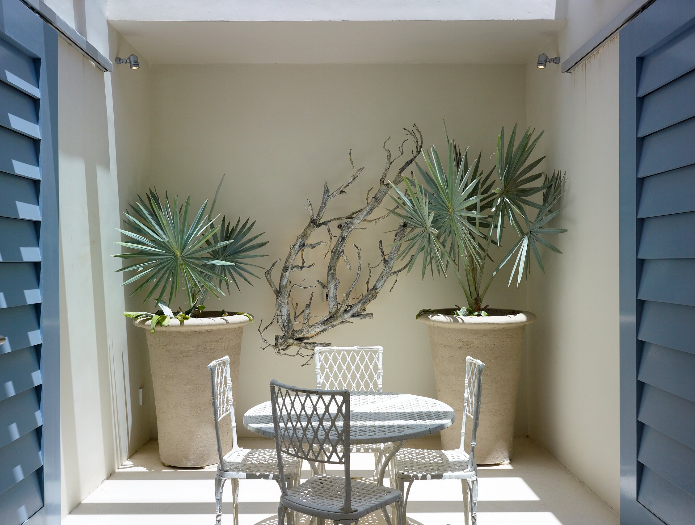 The Dream - Image 16