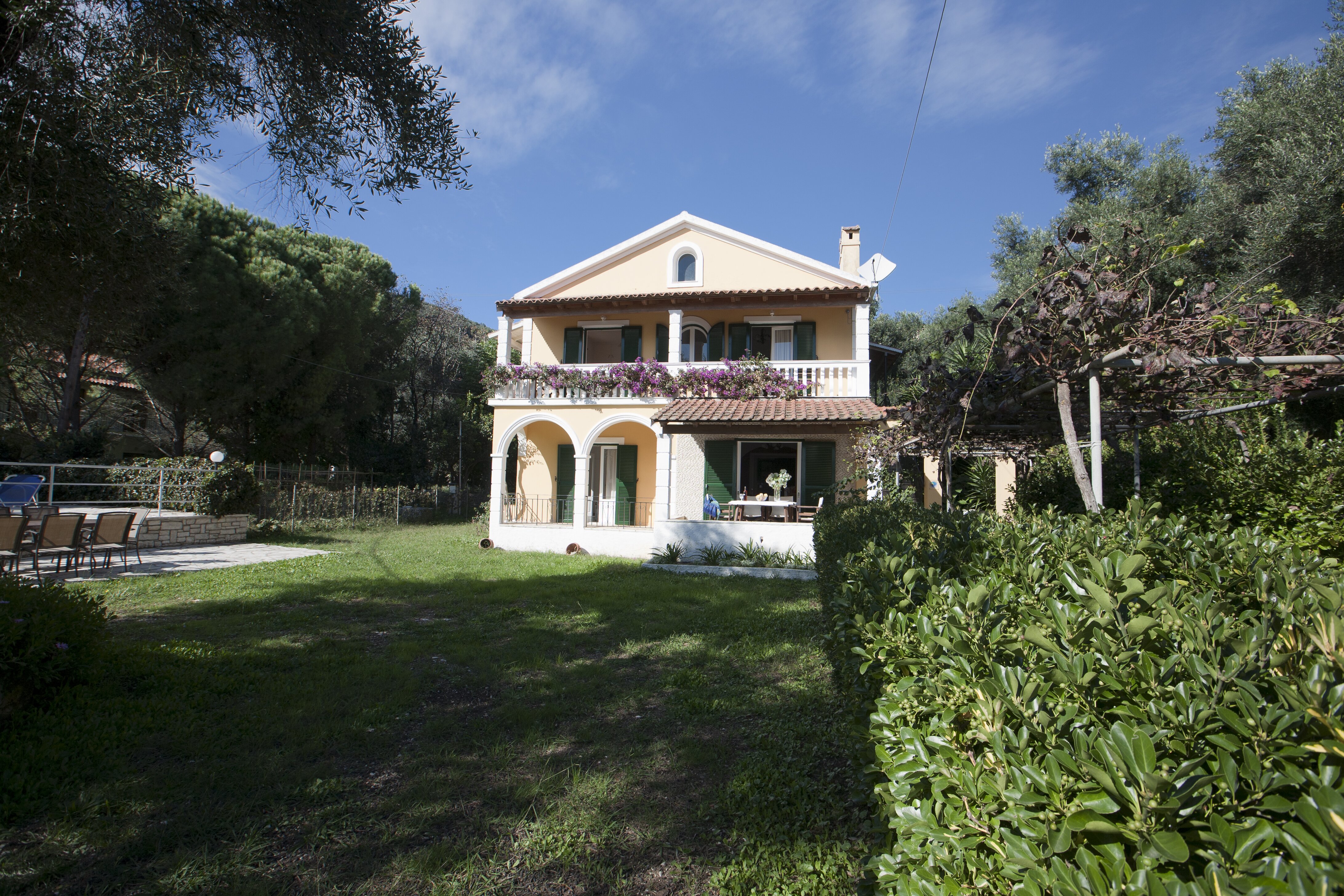 Sophia Upper - Image 5