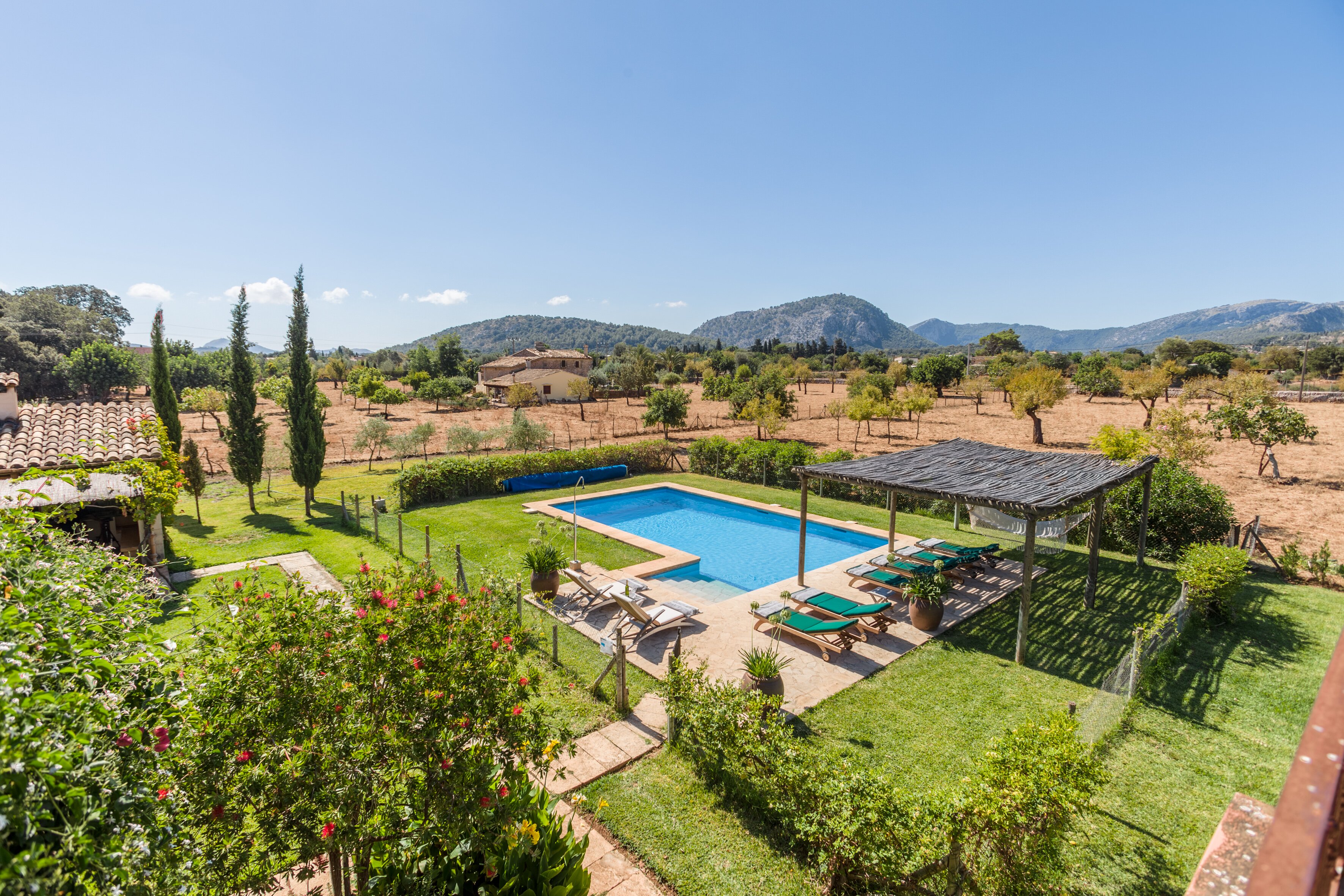 La Felucca - Image 15