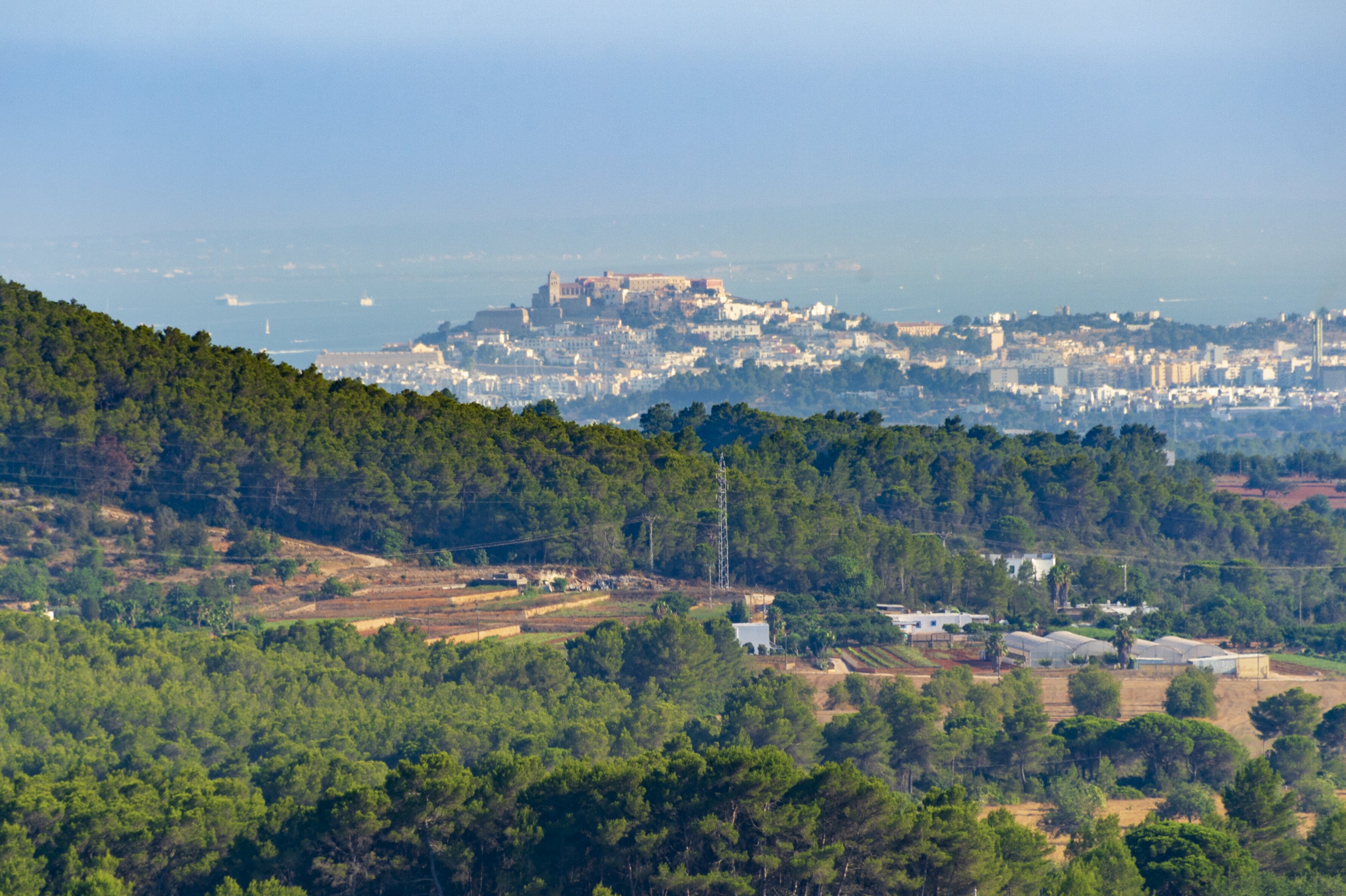 Ca'n Caballos - Image 6