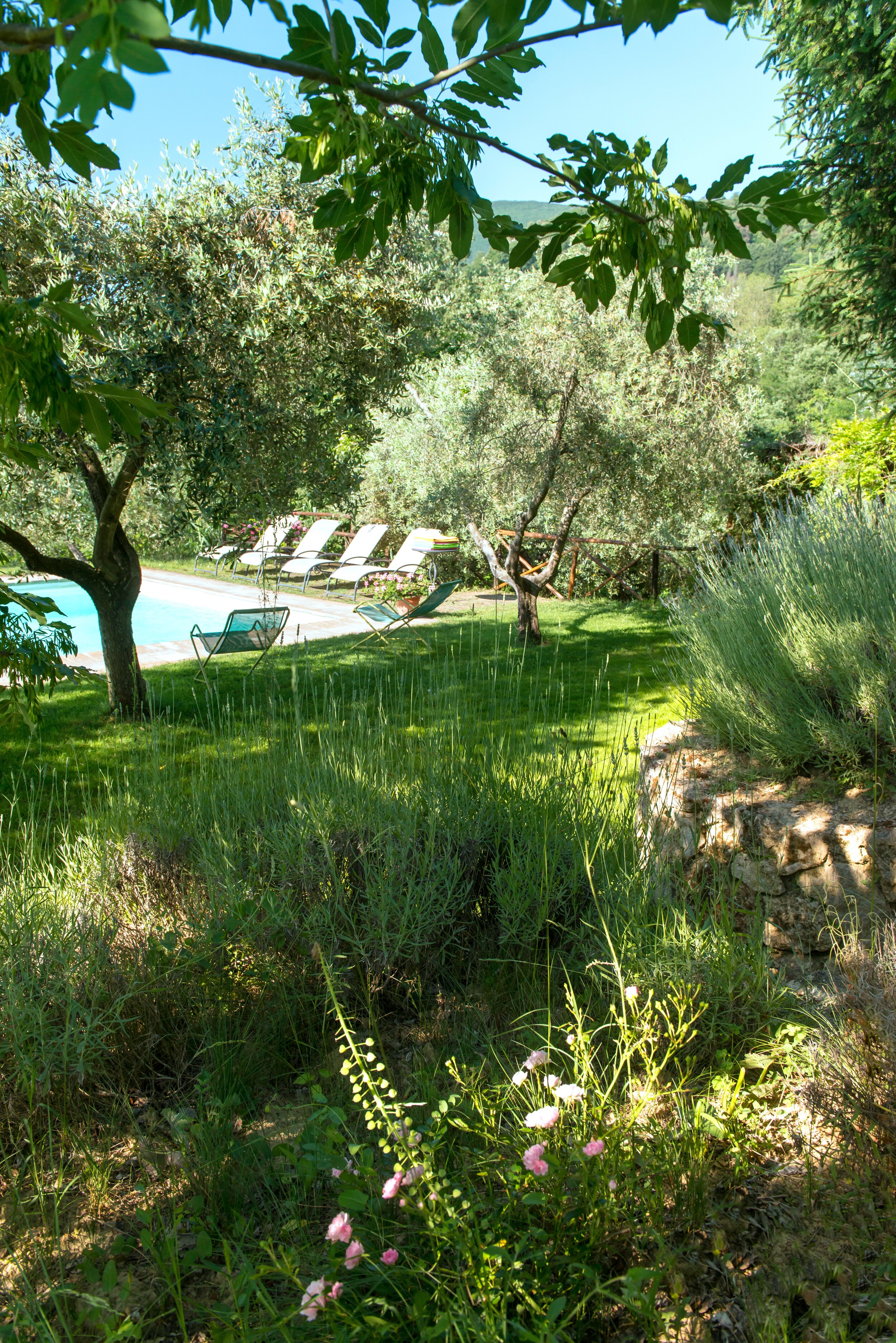 Casa dei Vini - Image 18