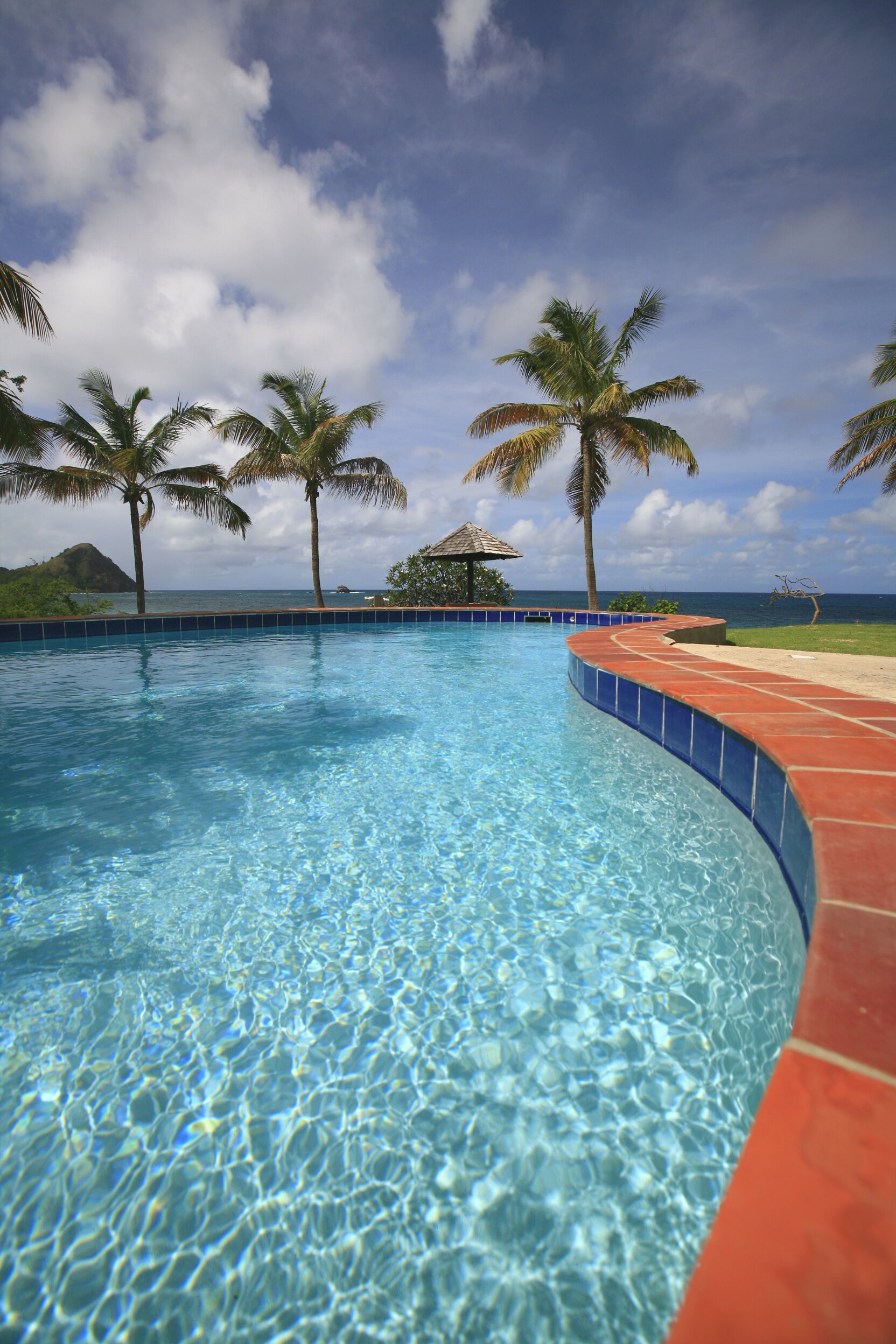 Sea Pearl - Image 11