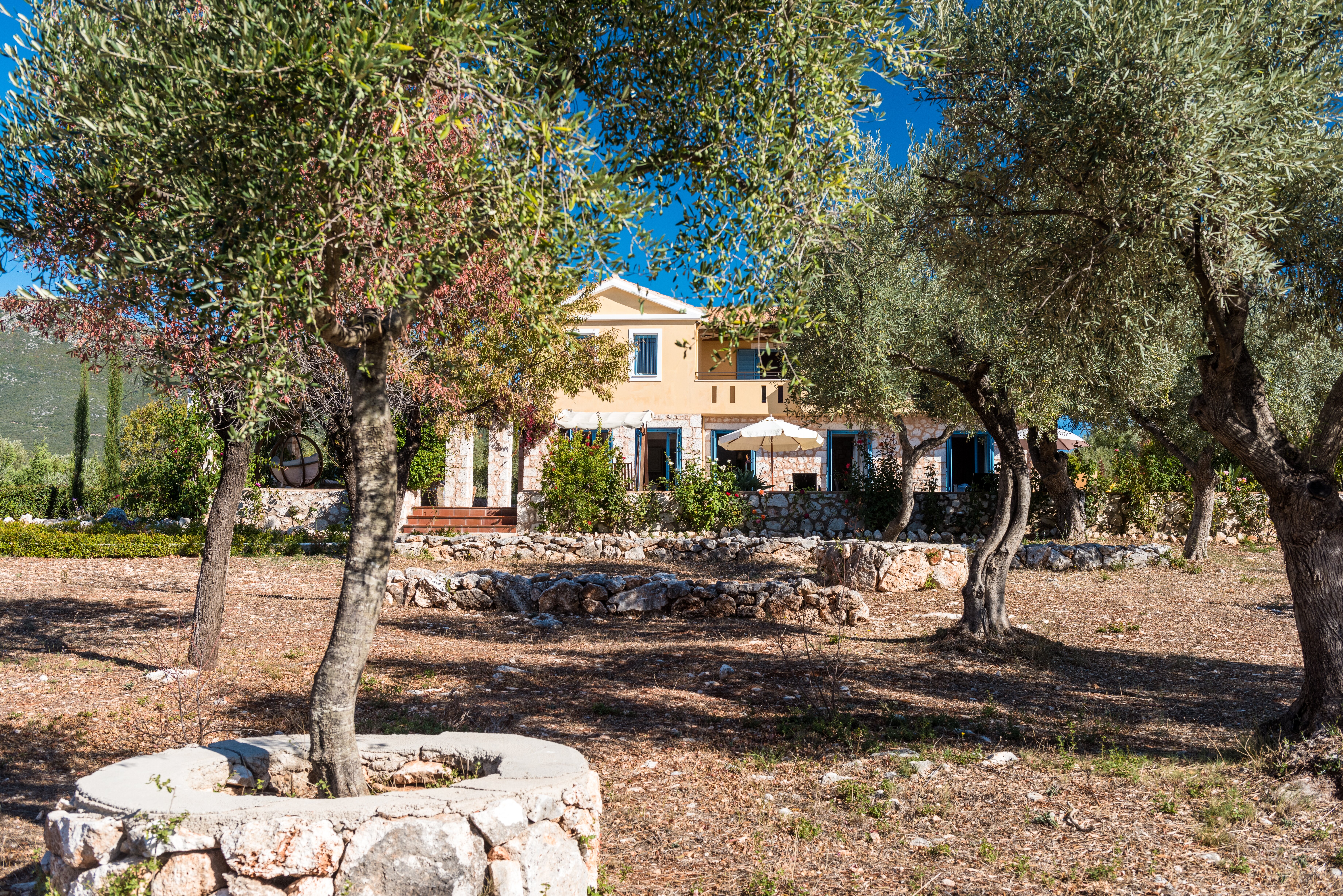 Mira - Image 16