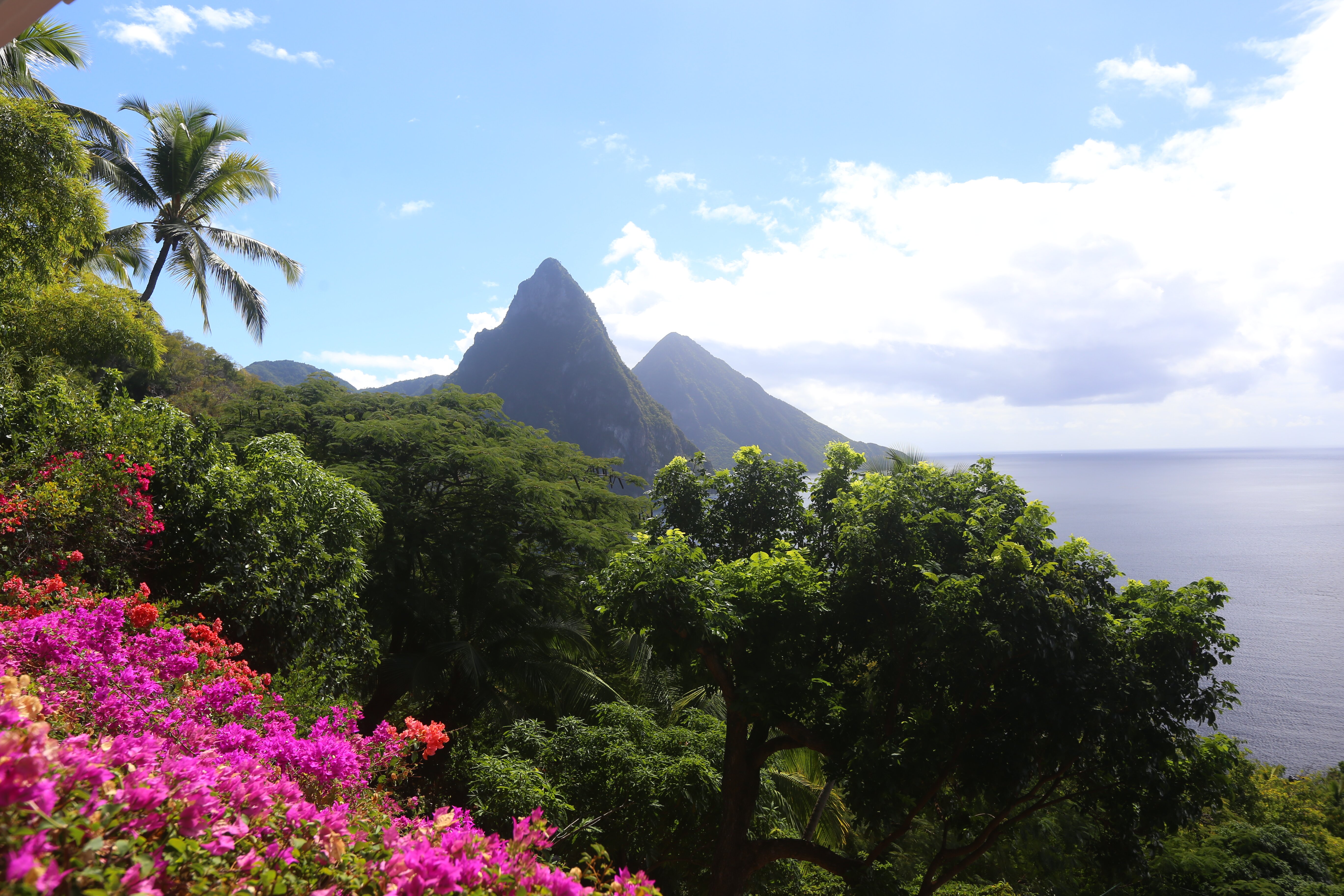 La Bagatelle - Image 12