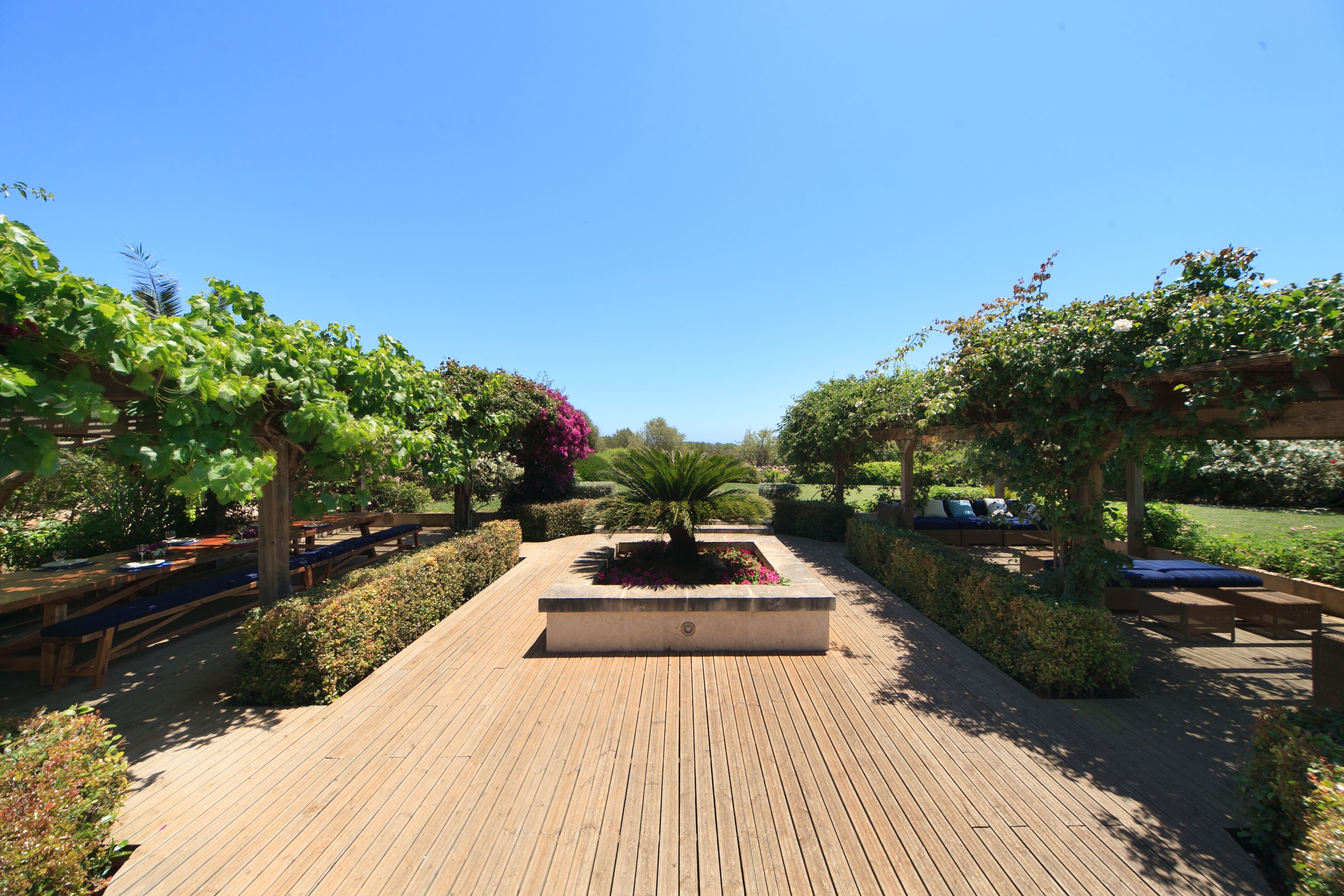 Ca'n Palmera - Image 6