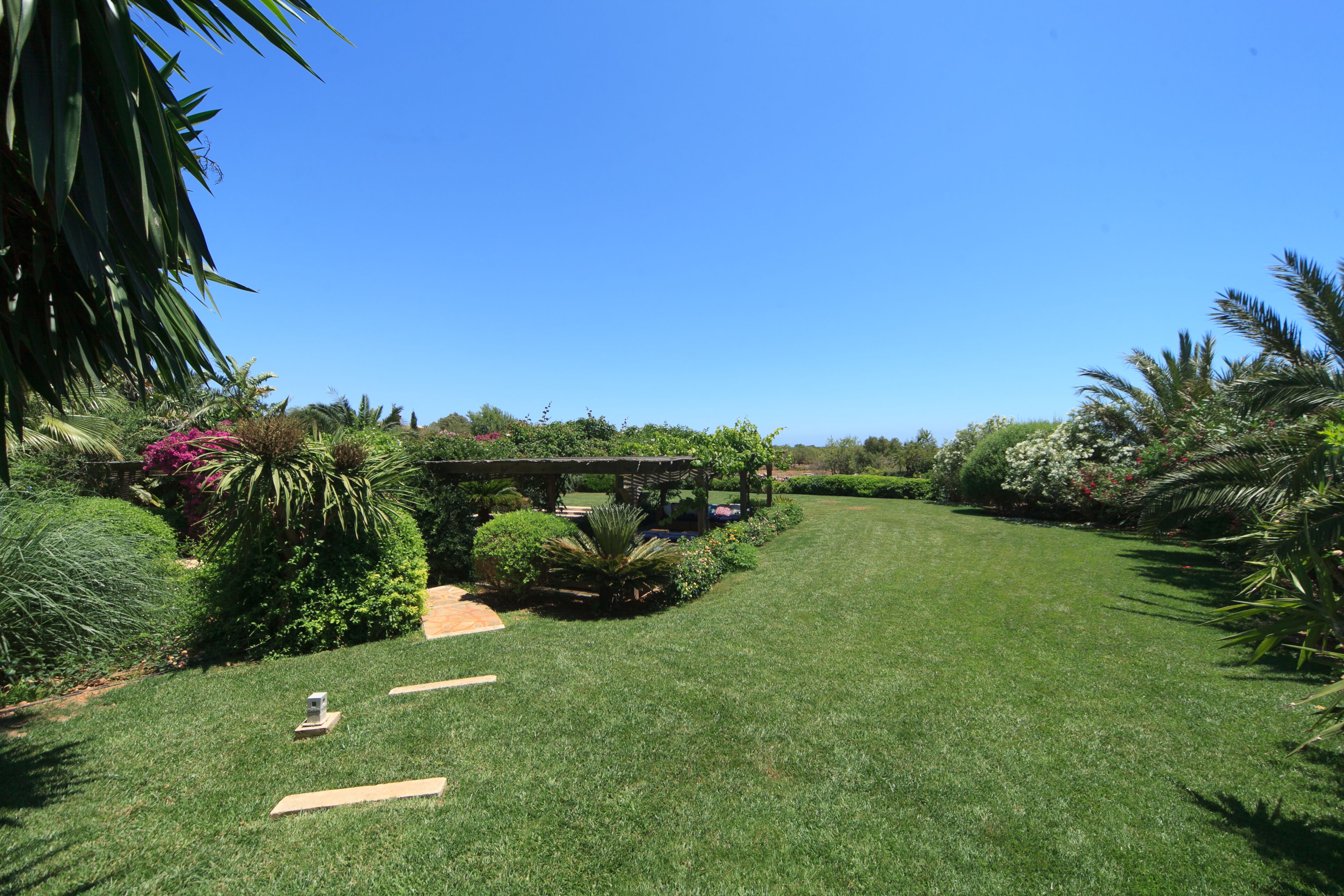 Ca'n Palmera - Image 3