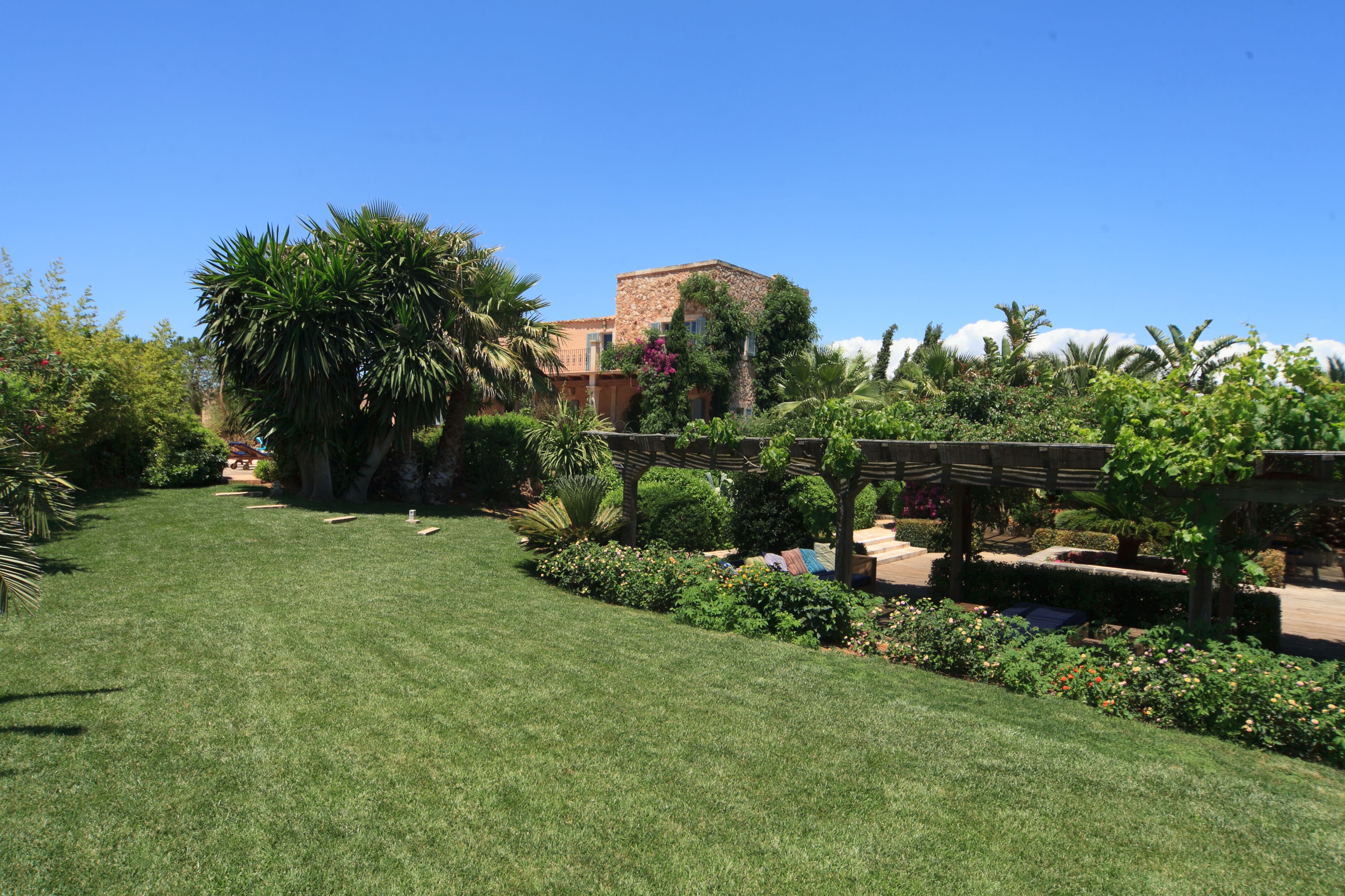 Ca'n Palmera - Image 4