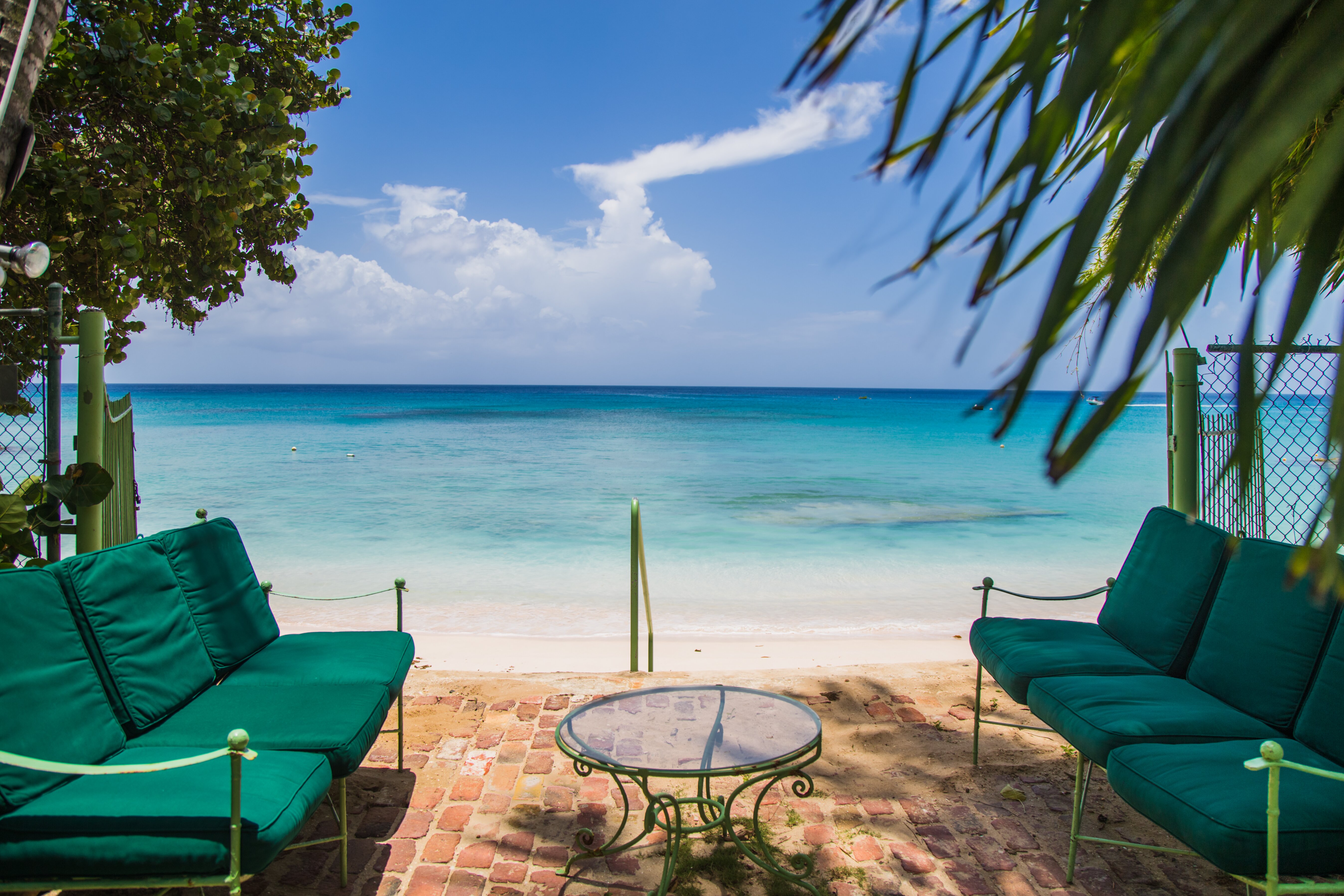 Nelson Gay - Image 6