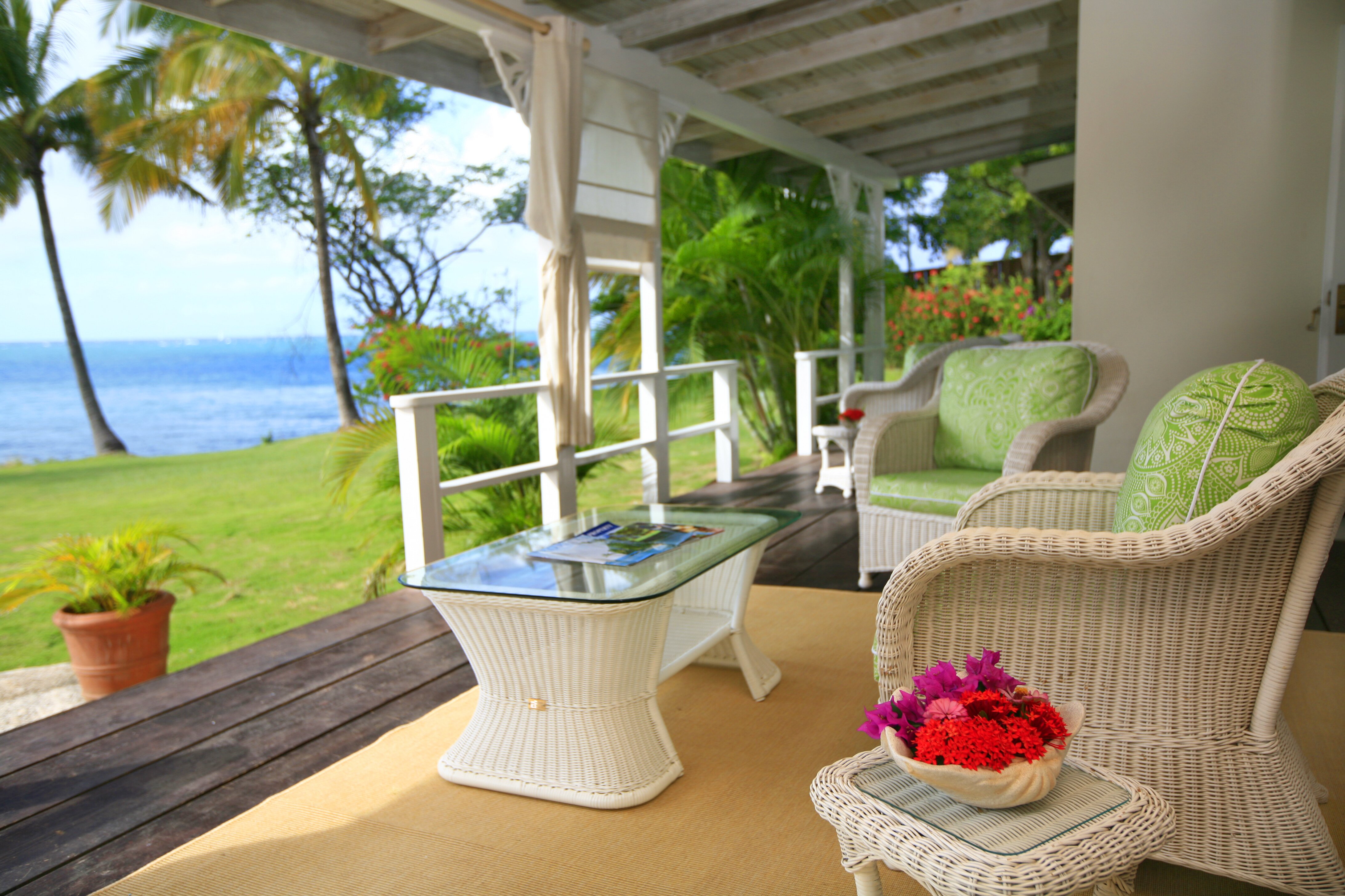 Sea Pearl - Image 13