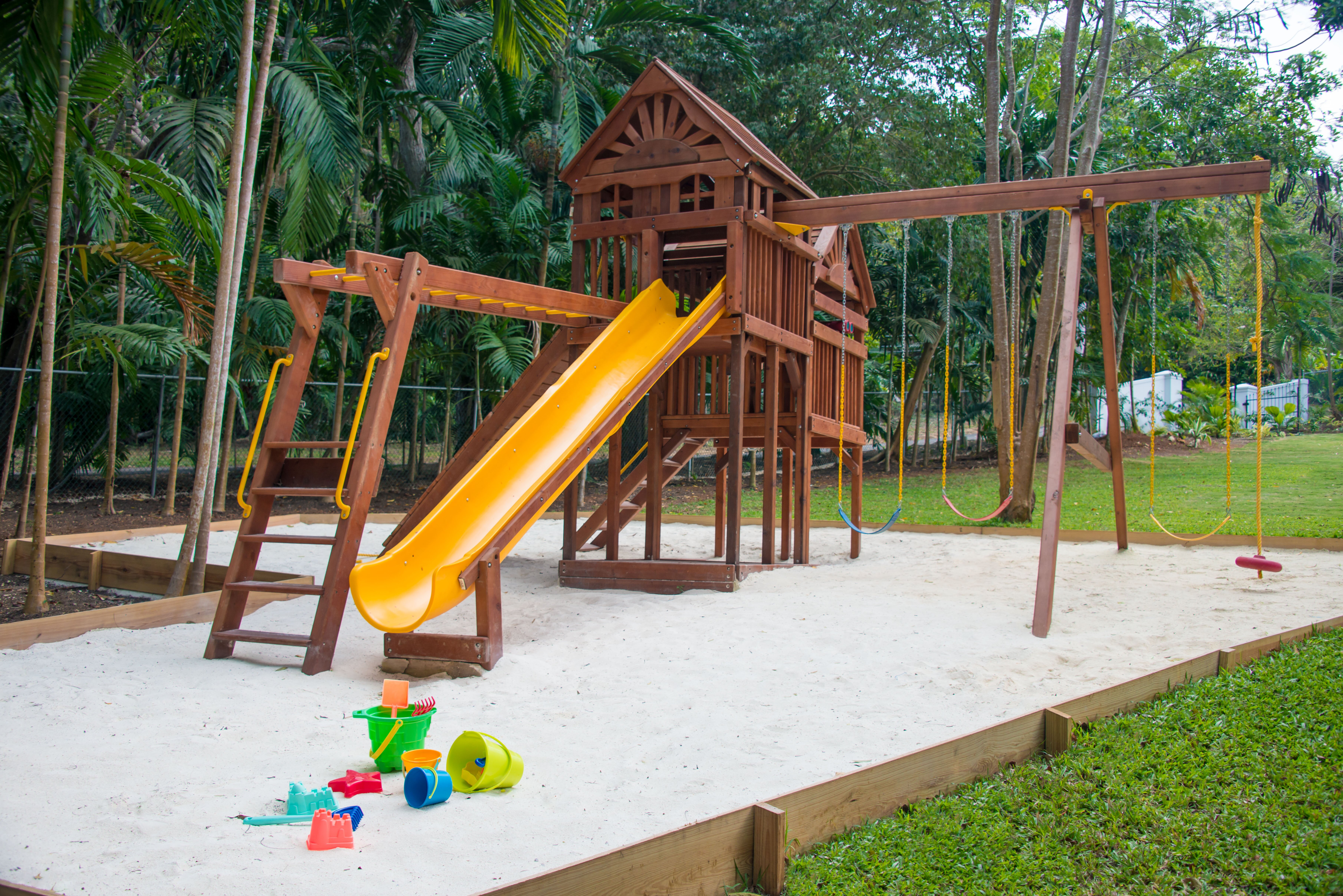 Allamanda - Image 17