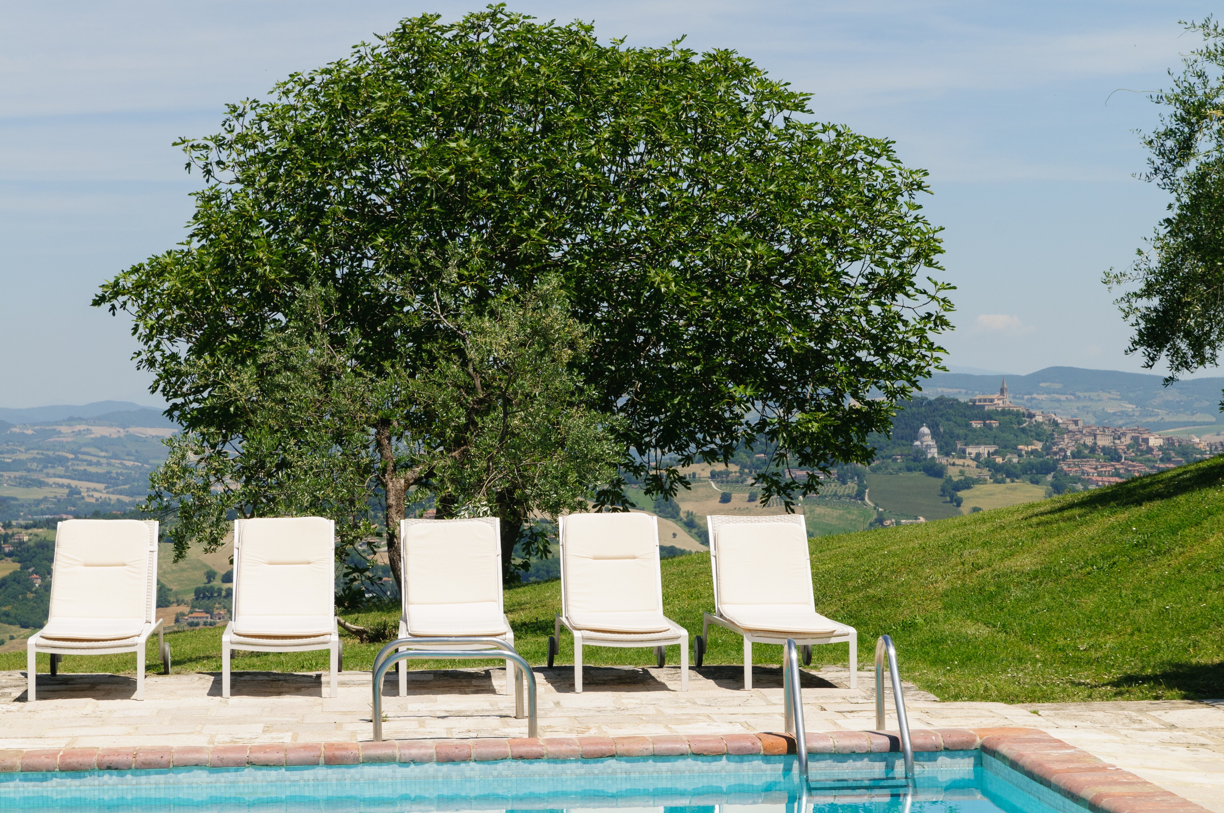 Ceccomoro - Image 7