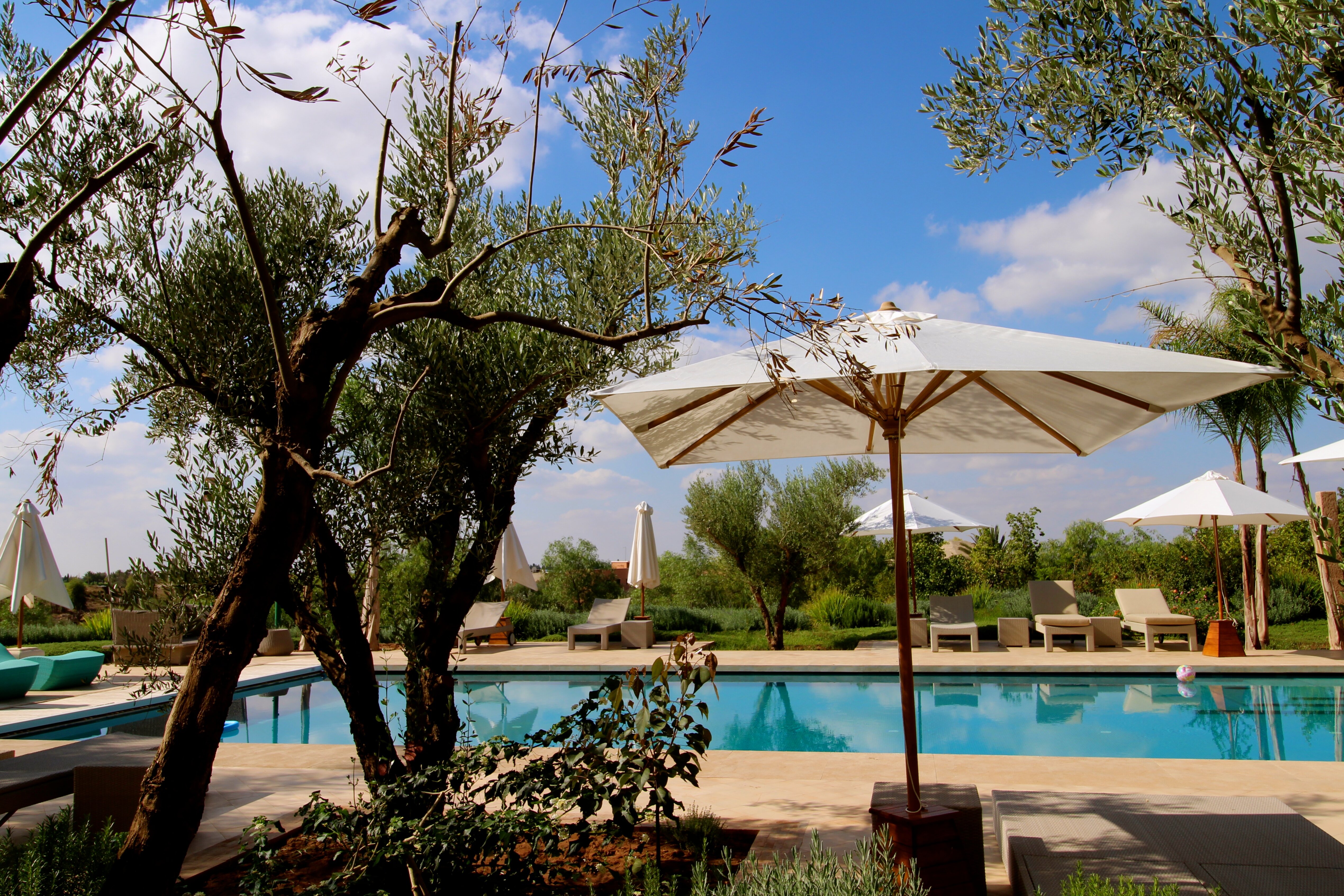 Cobalt Blue, near Marrakech - Image 5