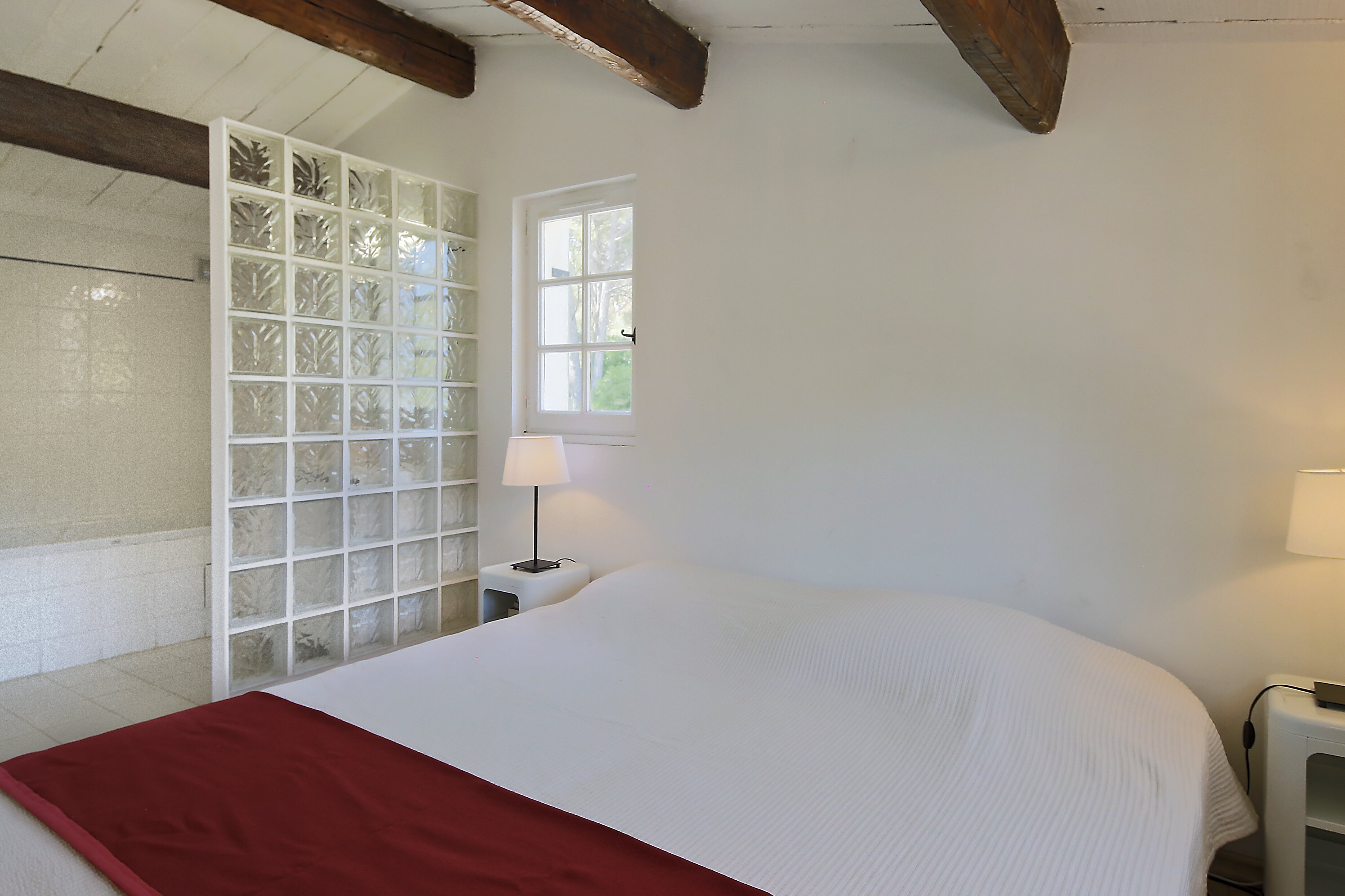 La Pinede - Image 13