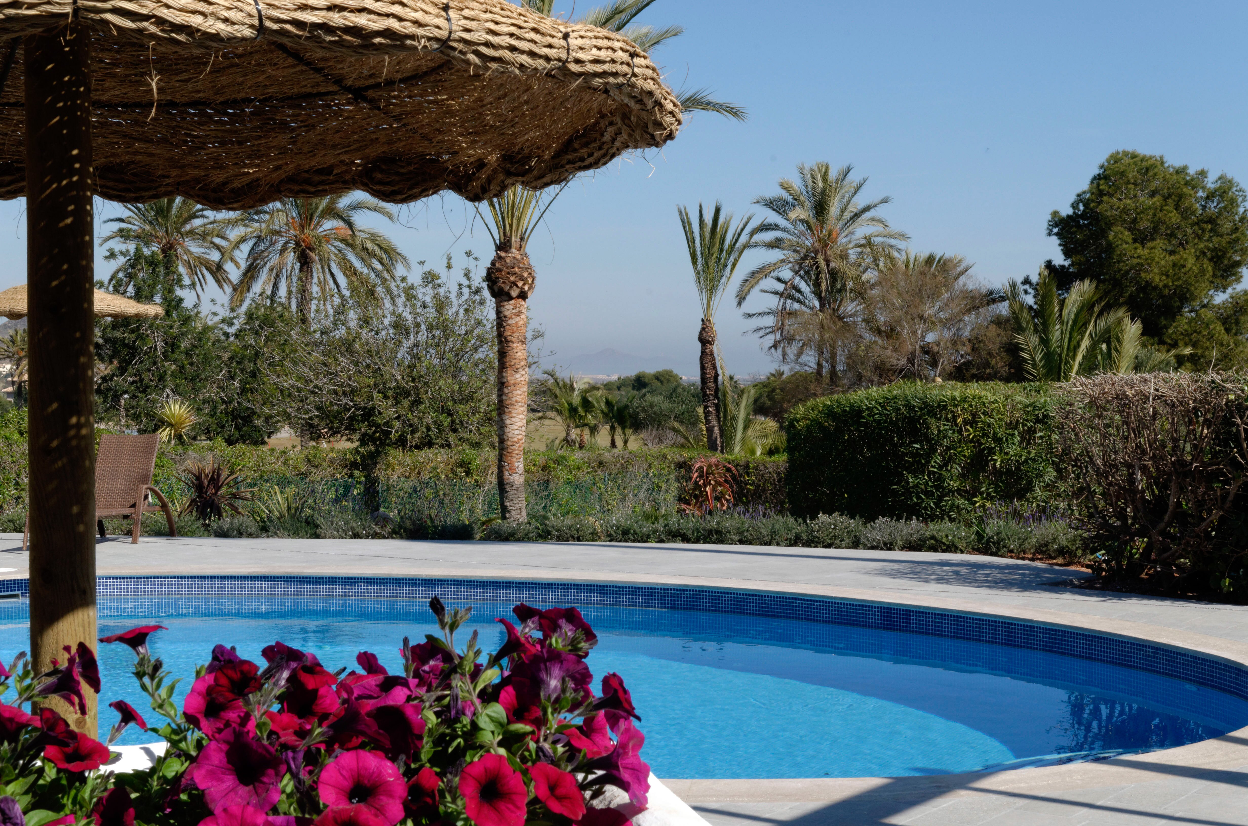 El Baladre - Image 13