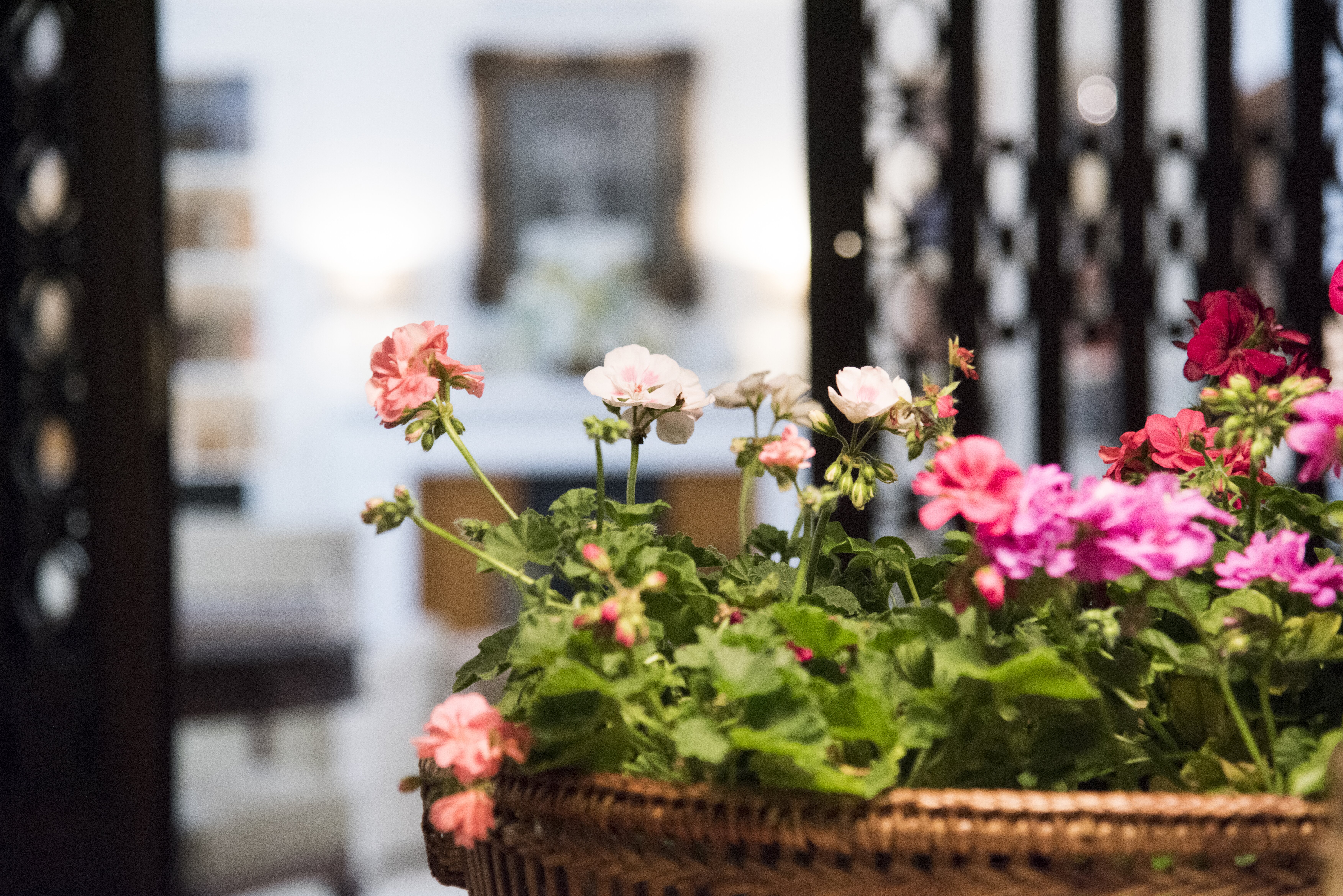 Quinta do Sarrea - Image 7