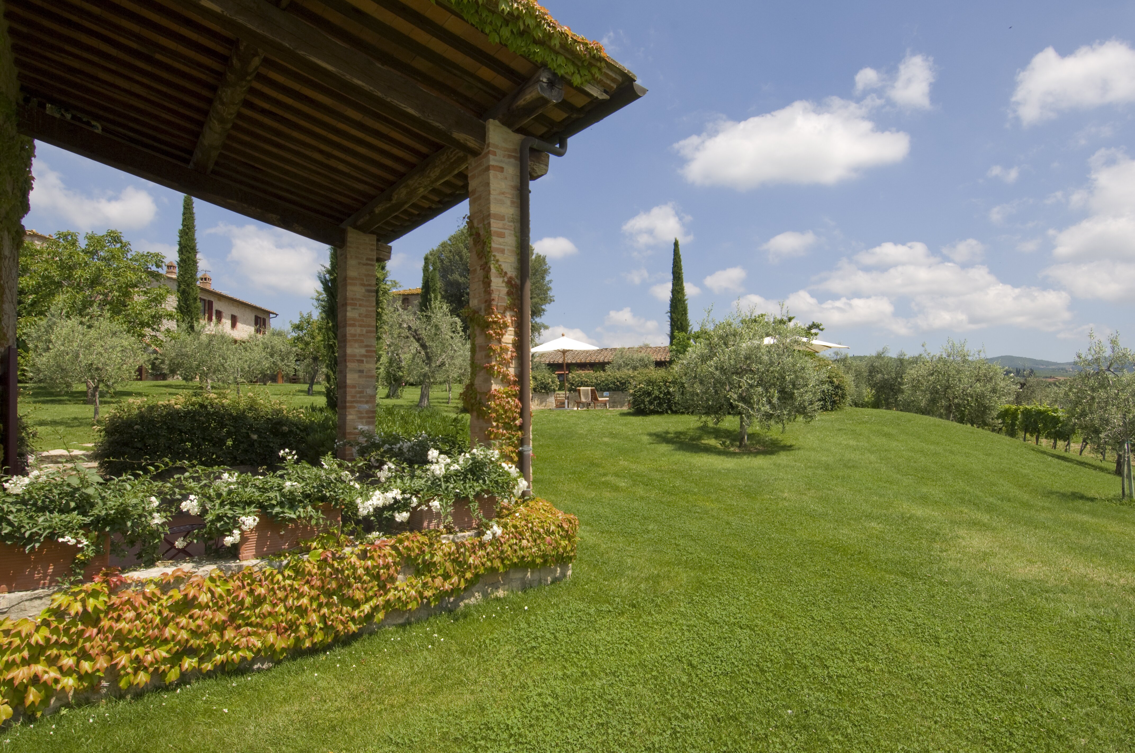 Sole di Sesta - Image 14