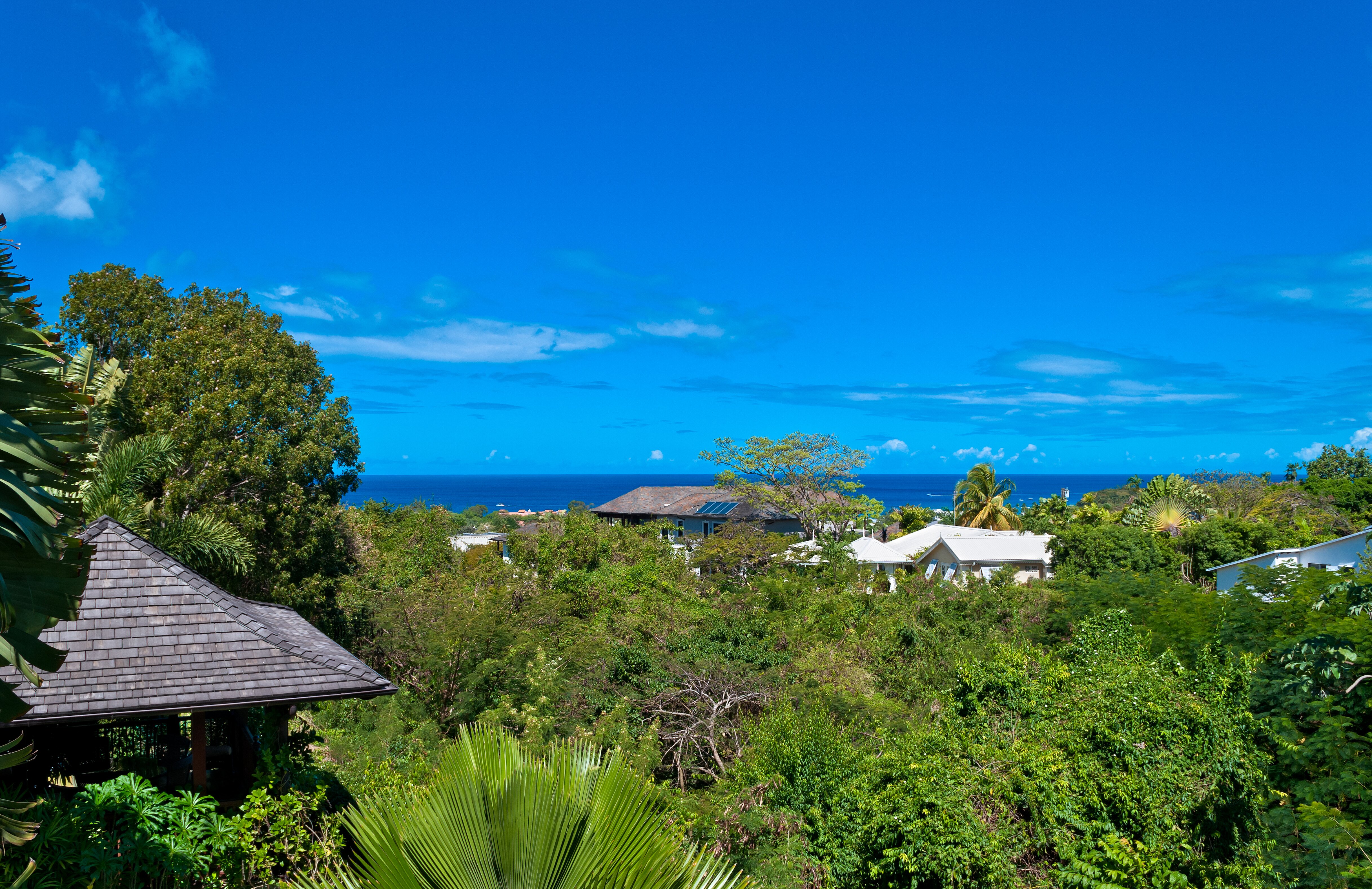 Alila - Image 16