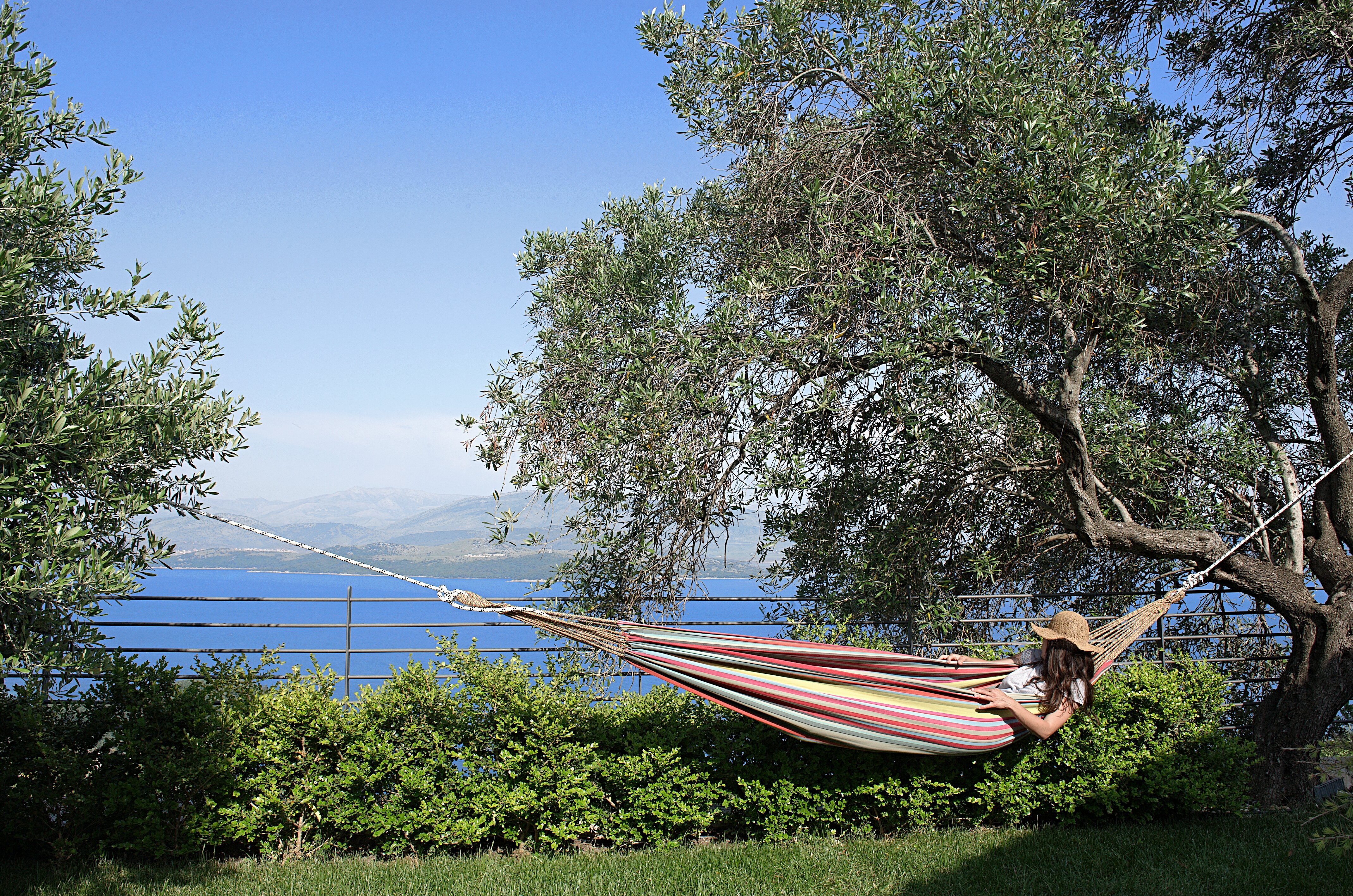 The Olive Press - Image 7