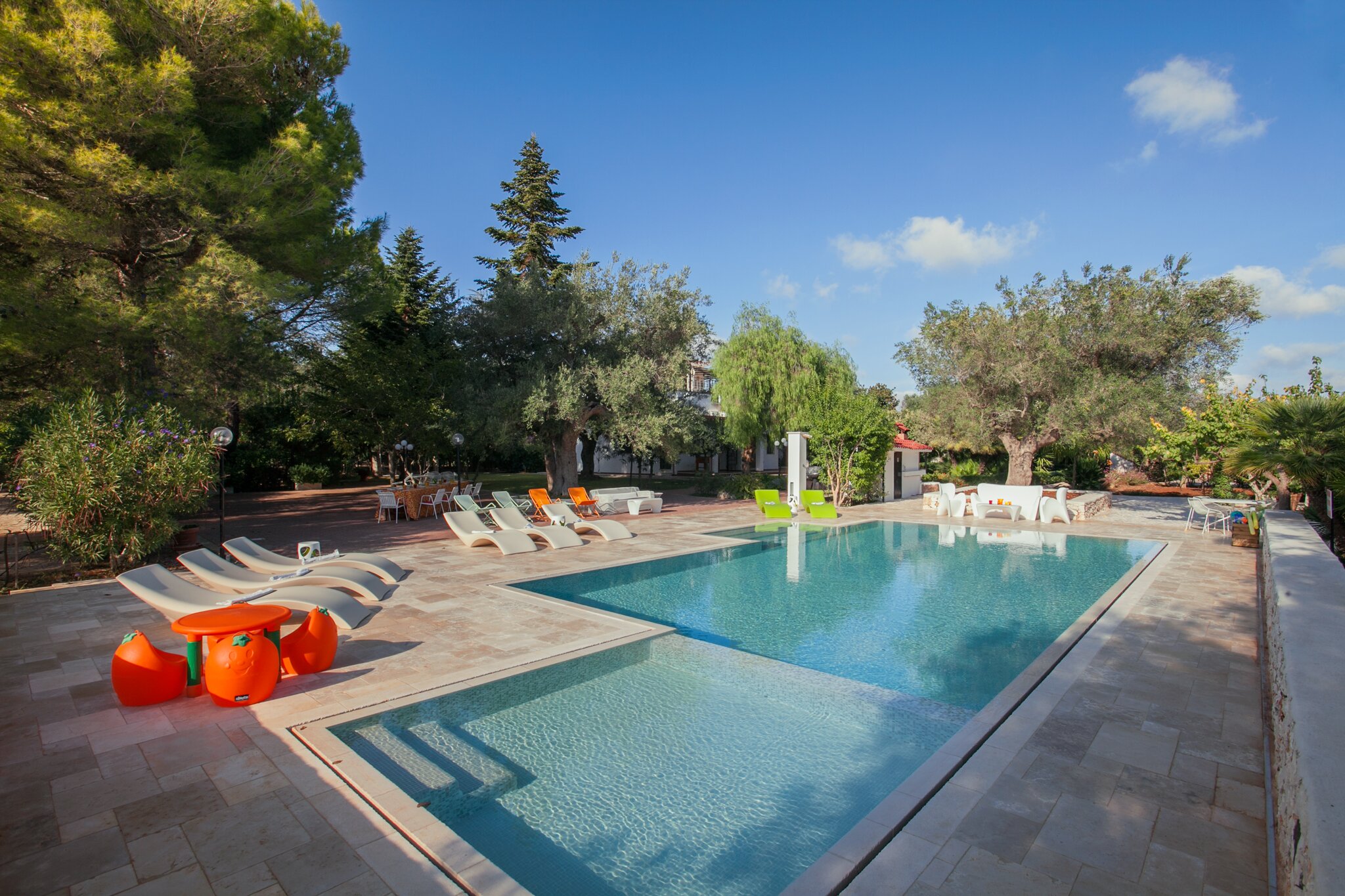 The Olive Grove - Image 3