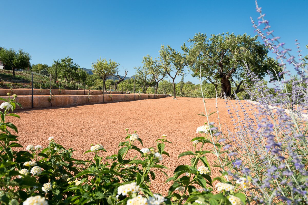 Ca'n Llorenc - Image 8