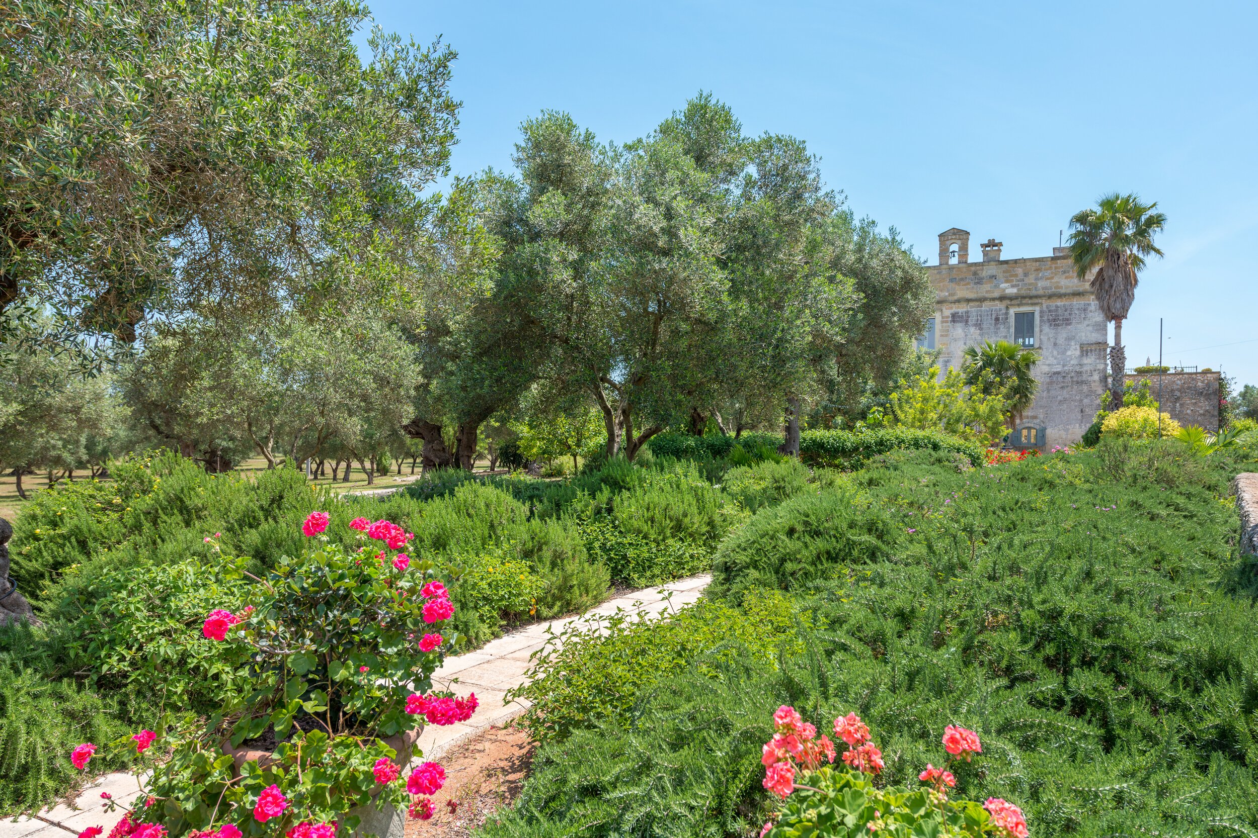 Masseria Torre Pinta - Image 14