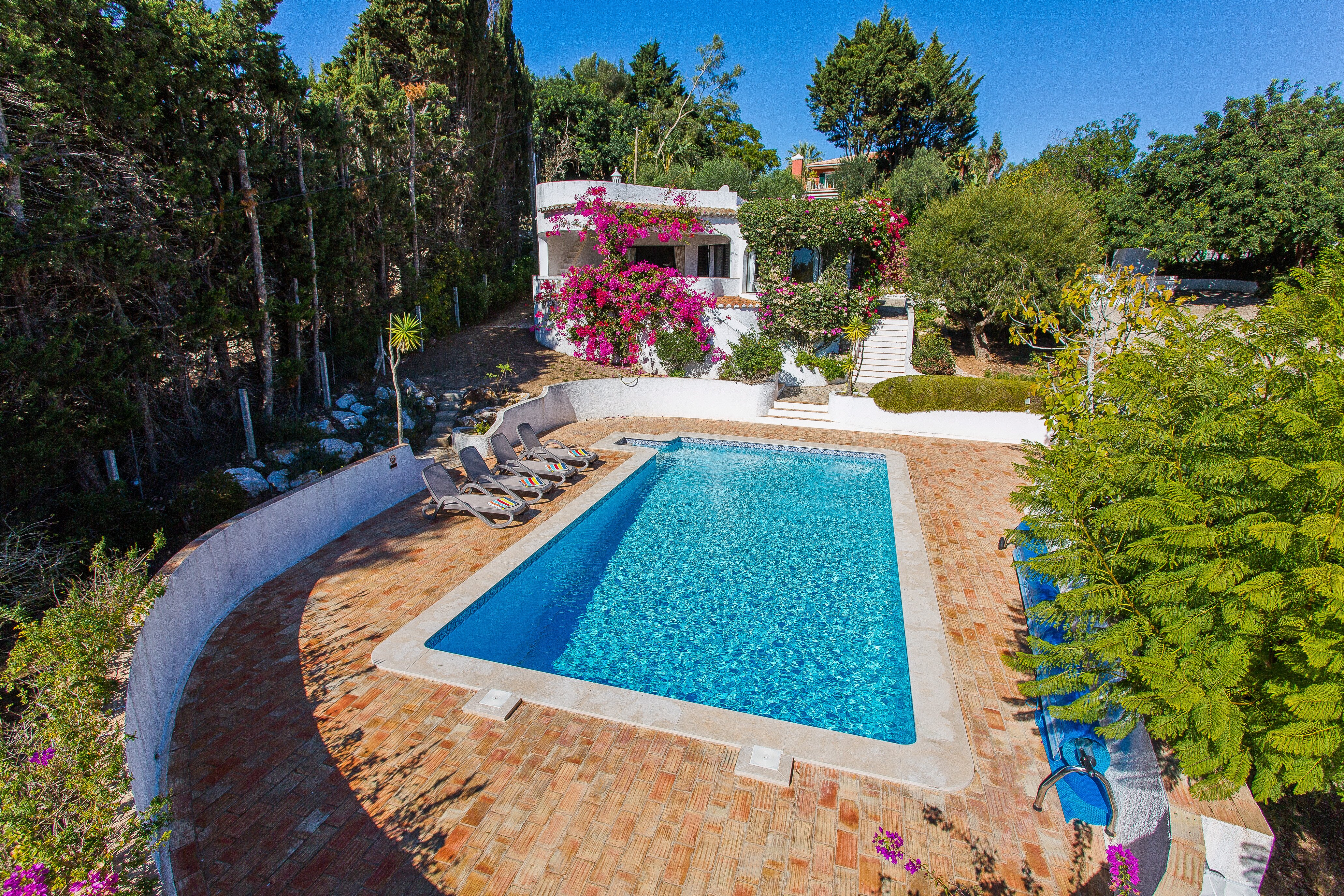 Casa dos Gemeos - Image 12