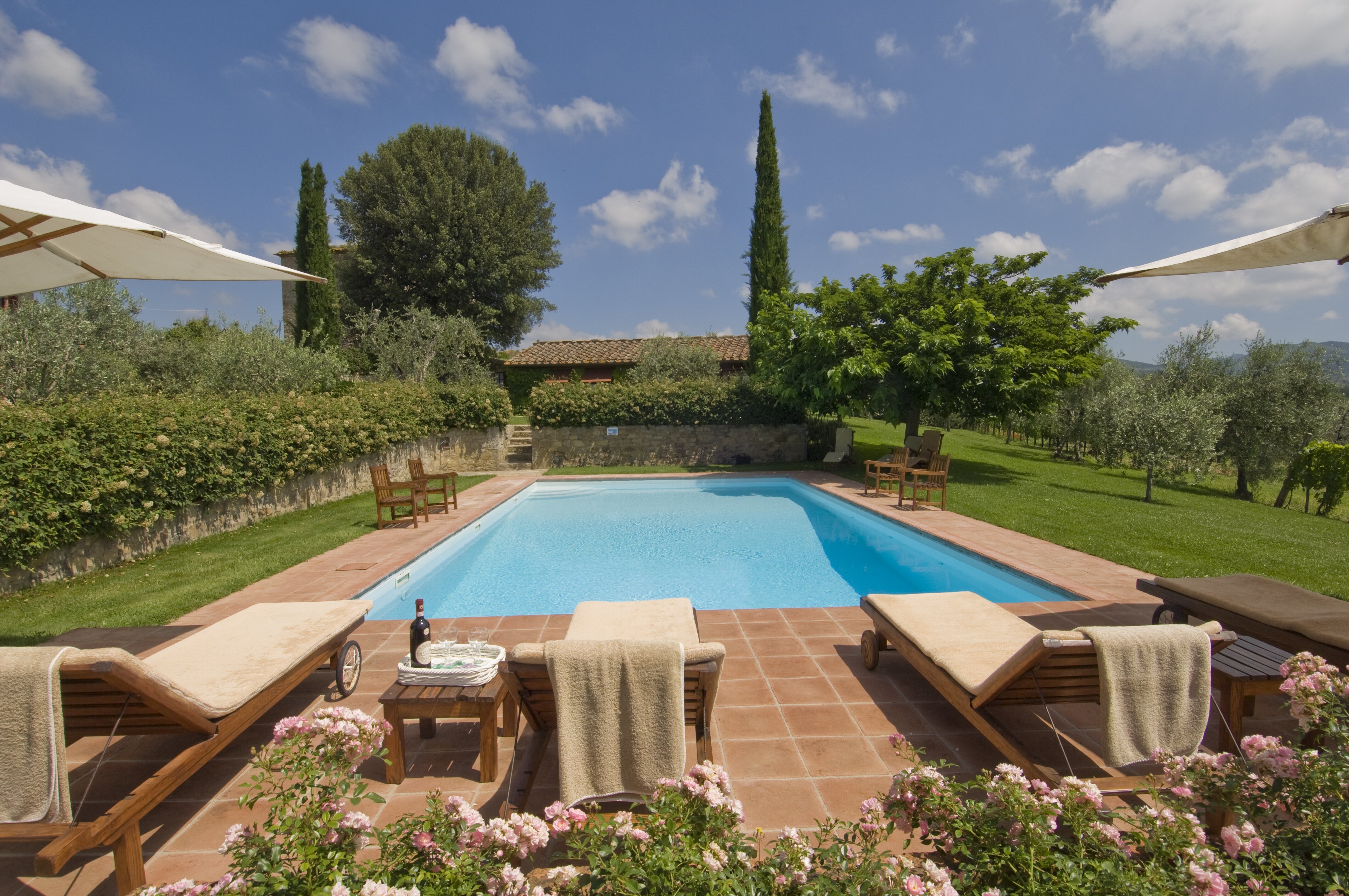 Sole di Sesta - Image 6