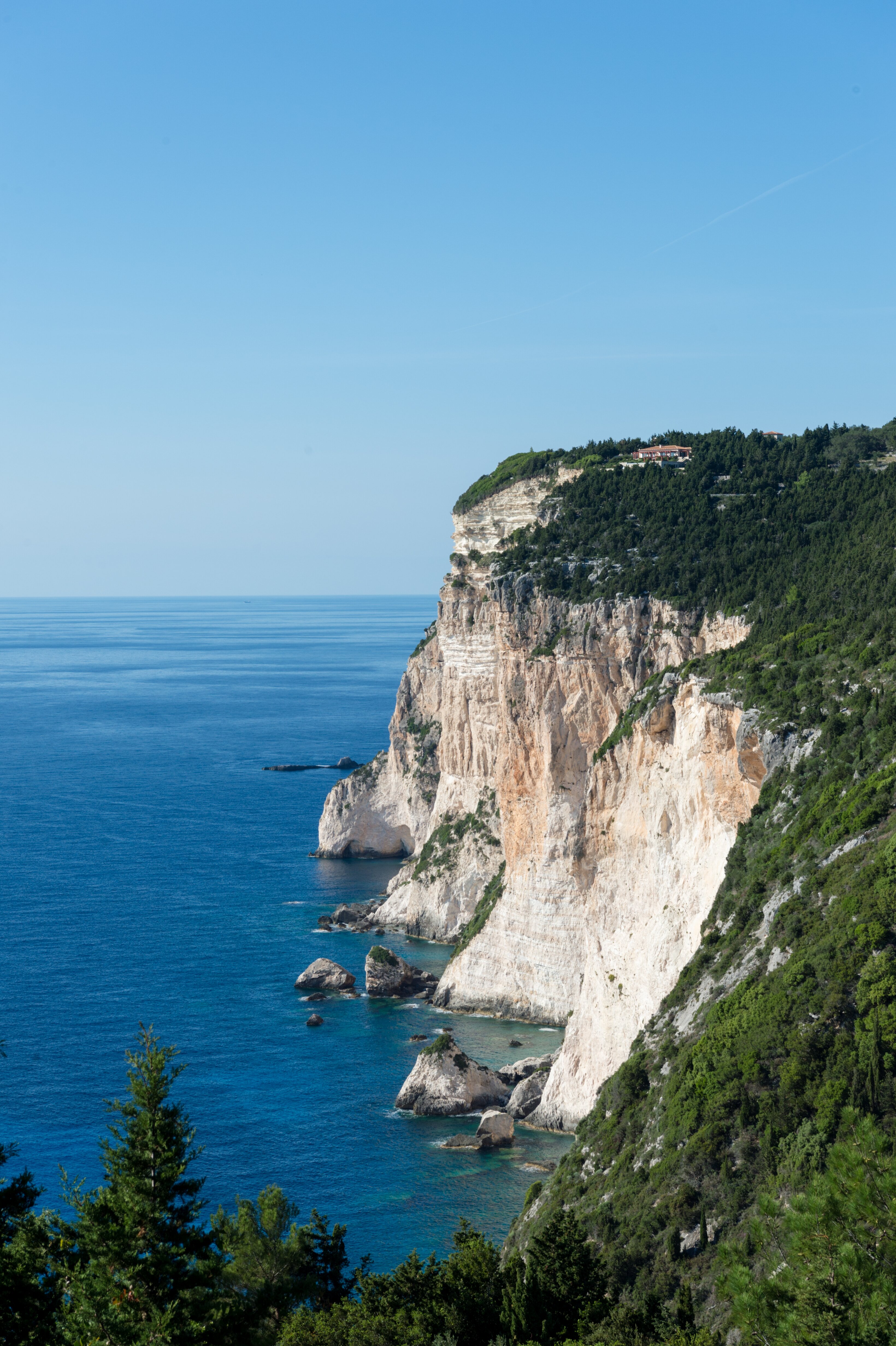 Erimitis - Image 19