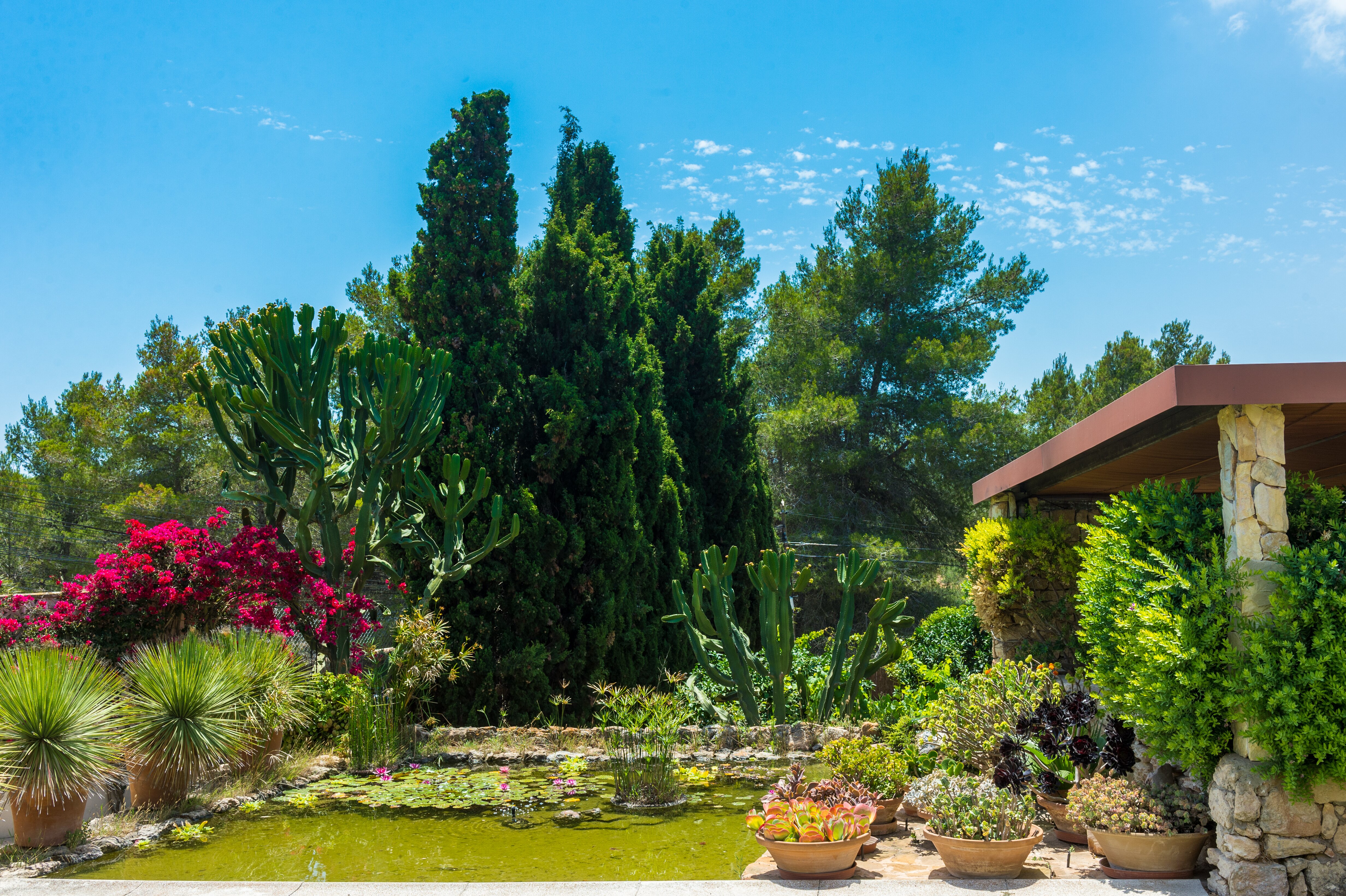 Ca'n Jardin - Image 17