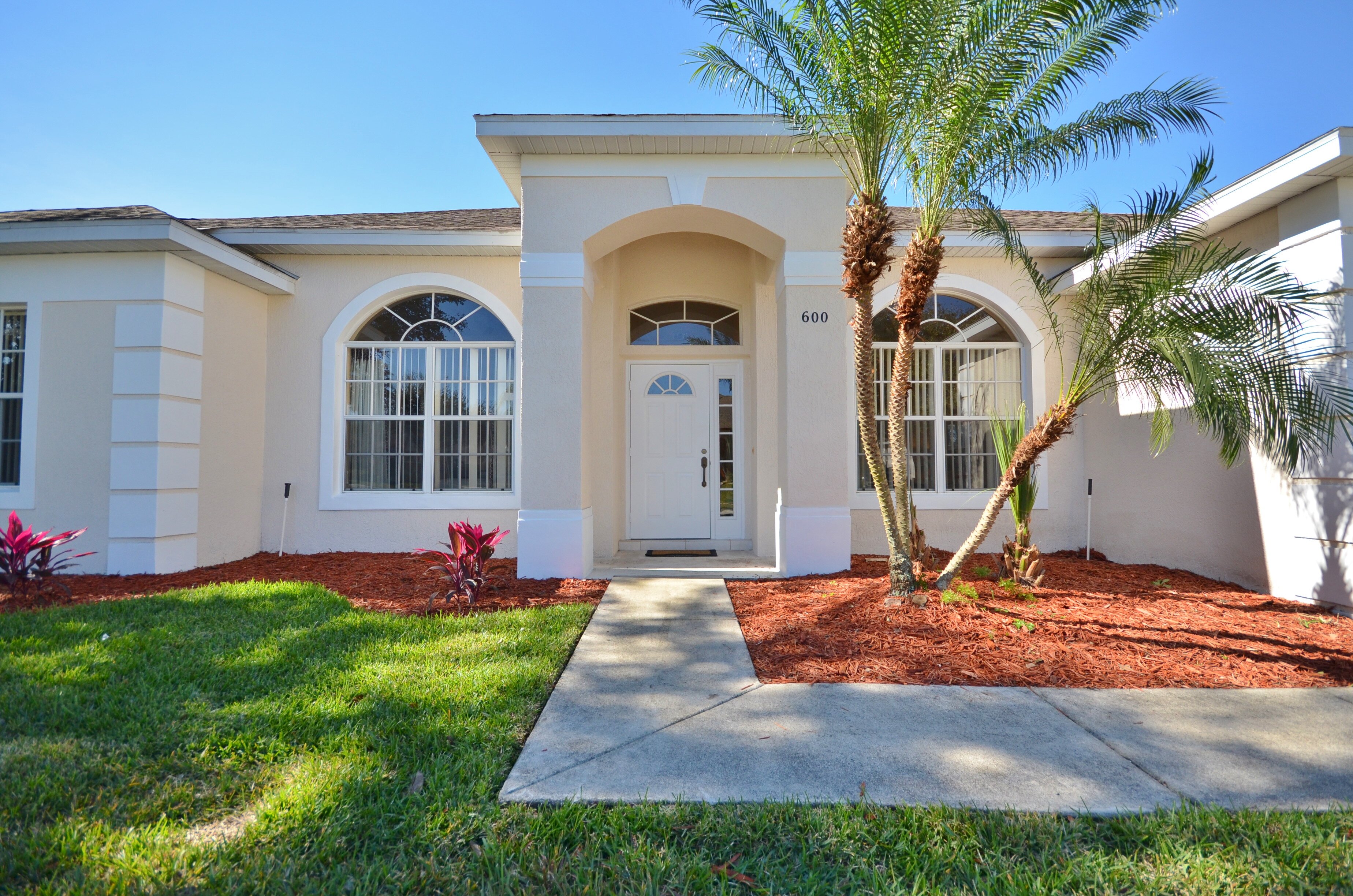 White Orchid - Image 18