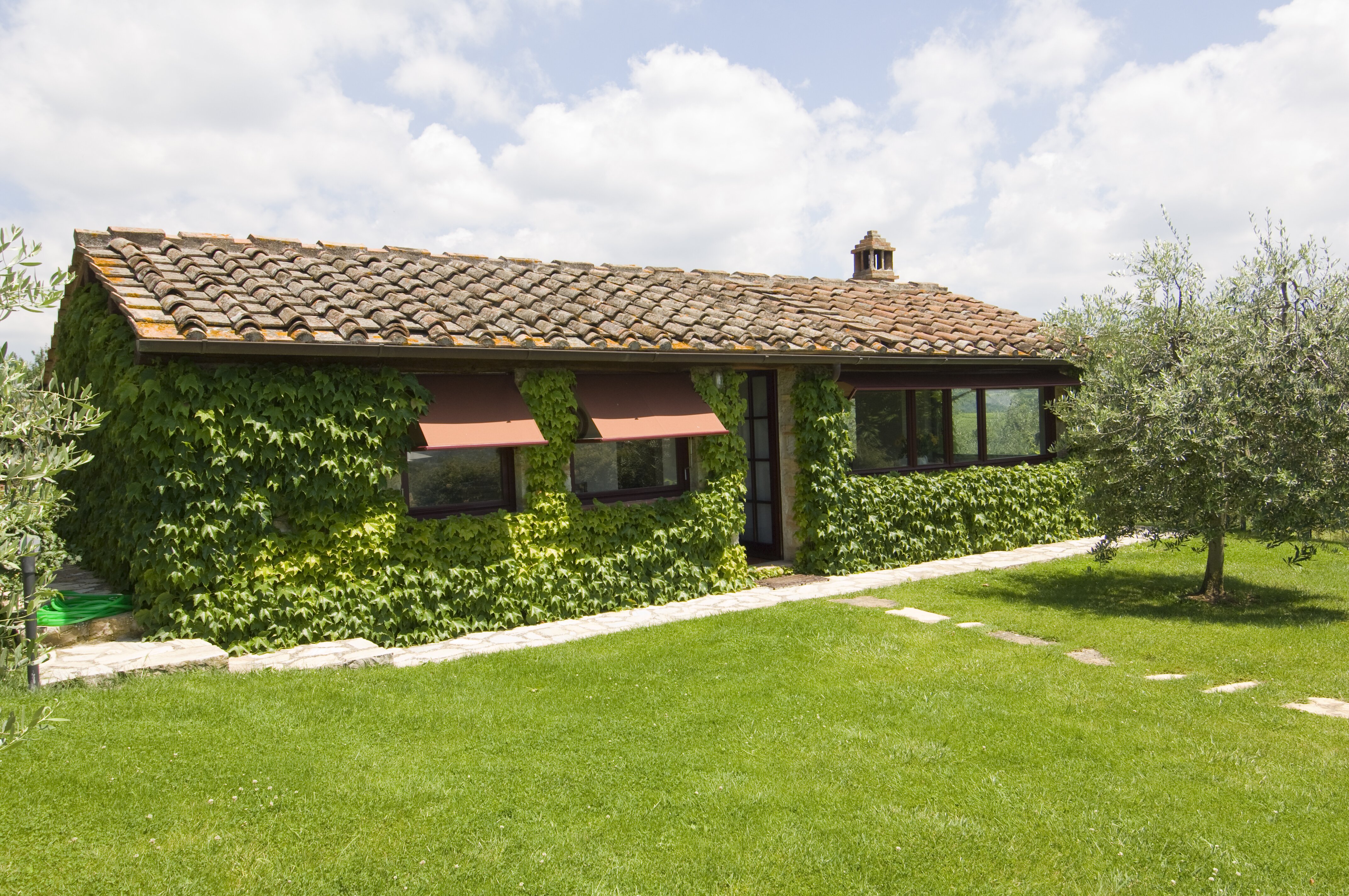 Sole di Sesta - Image 12