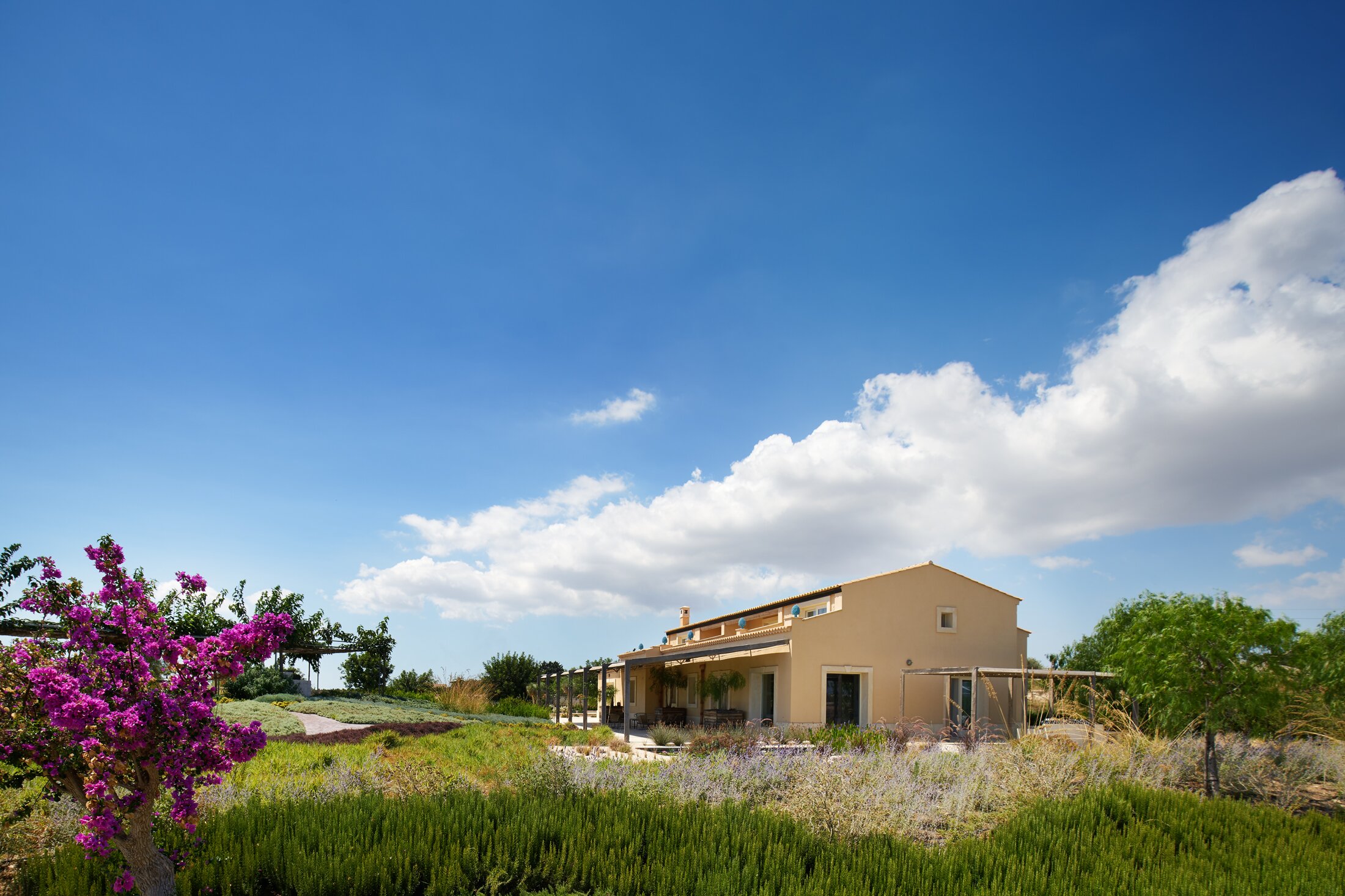 Villa dell'Oca - Image 3