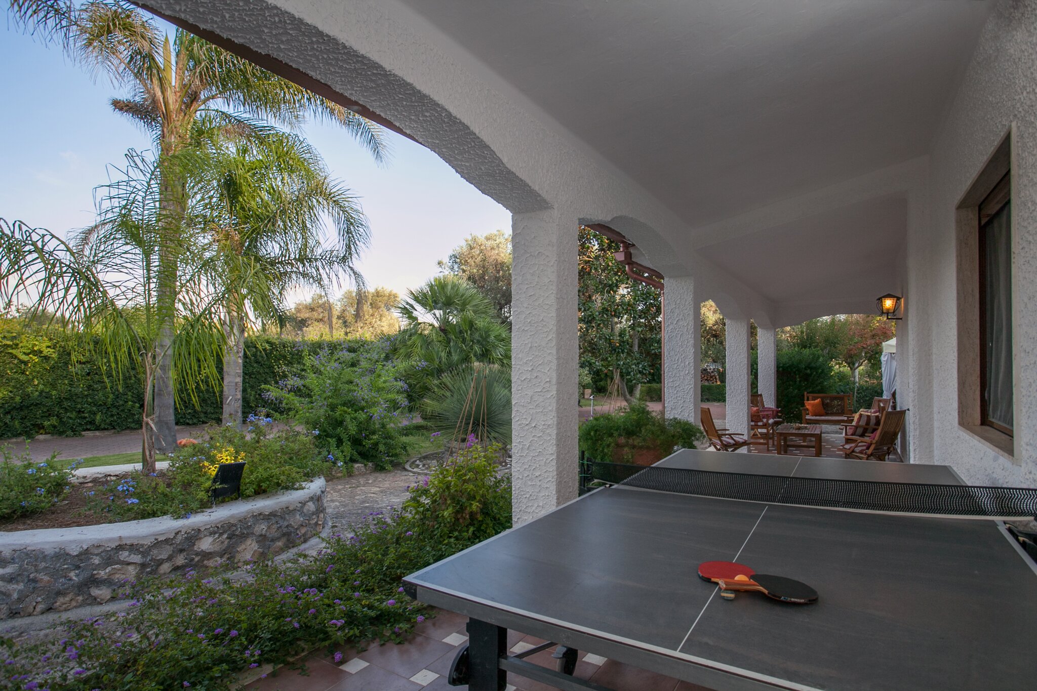 The Olive Grove - Image 11