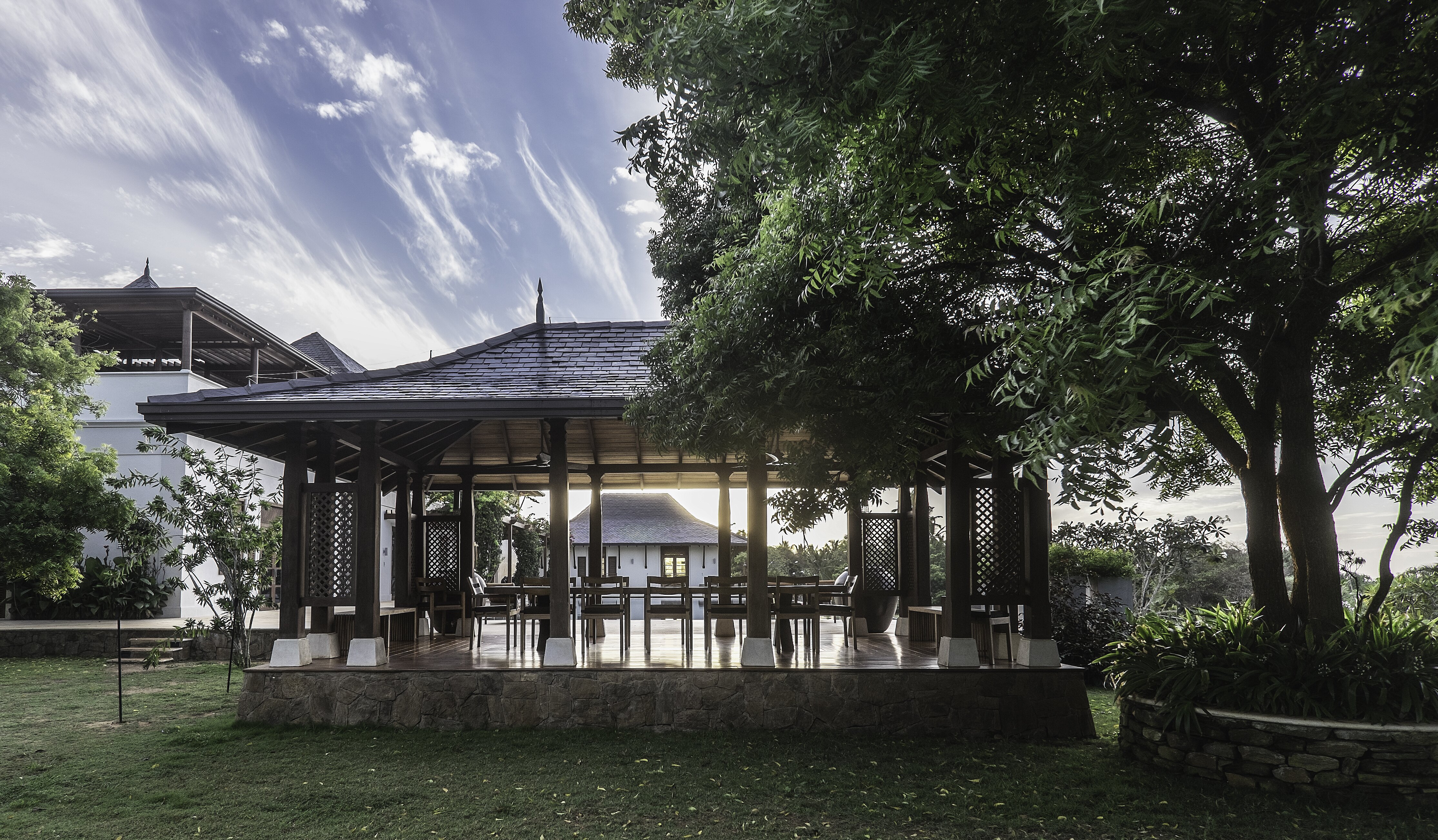 Lemongrass - Image 12